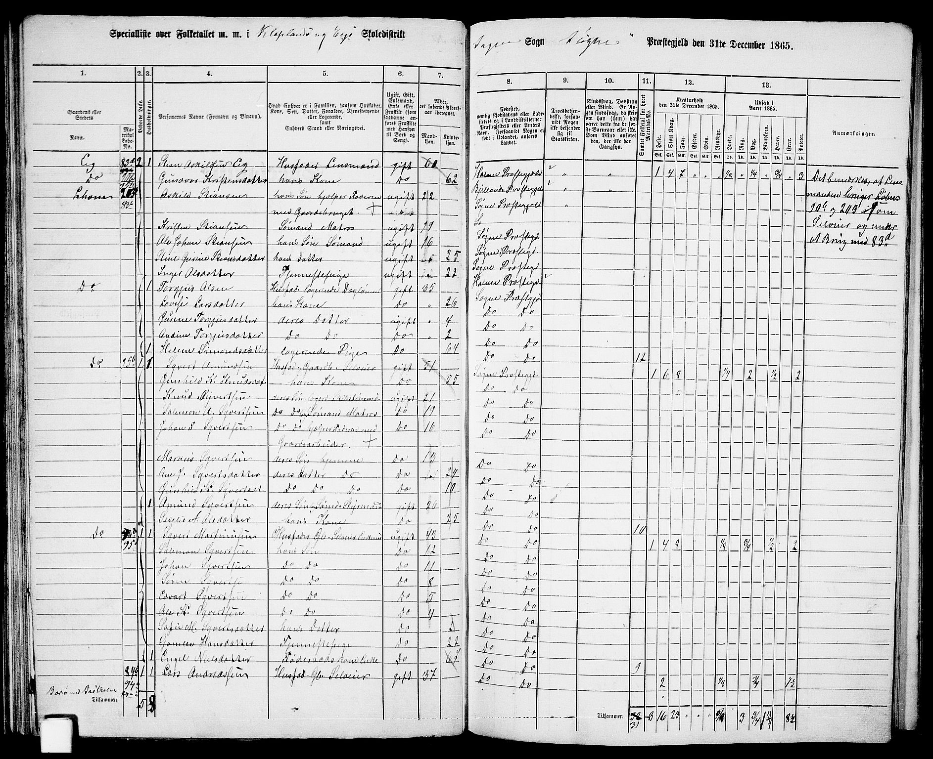 RA, 1865 census for Søgne, 1865, p. 60