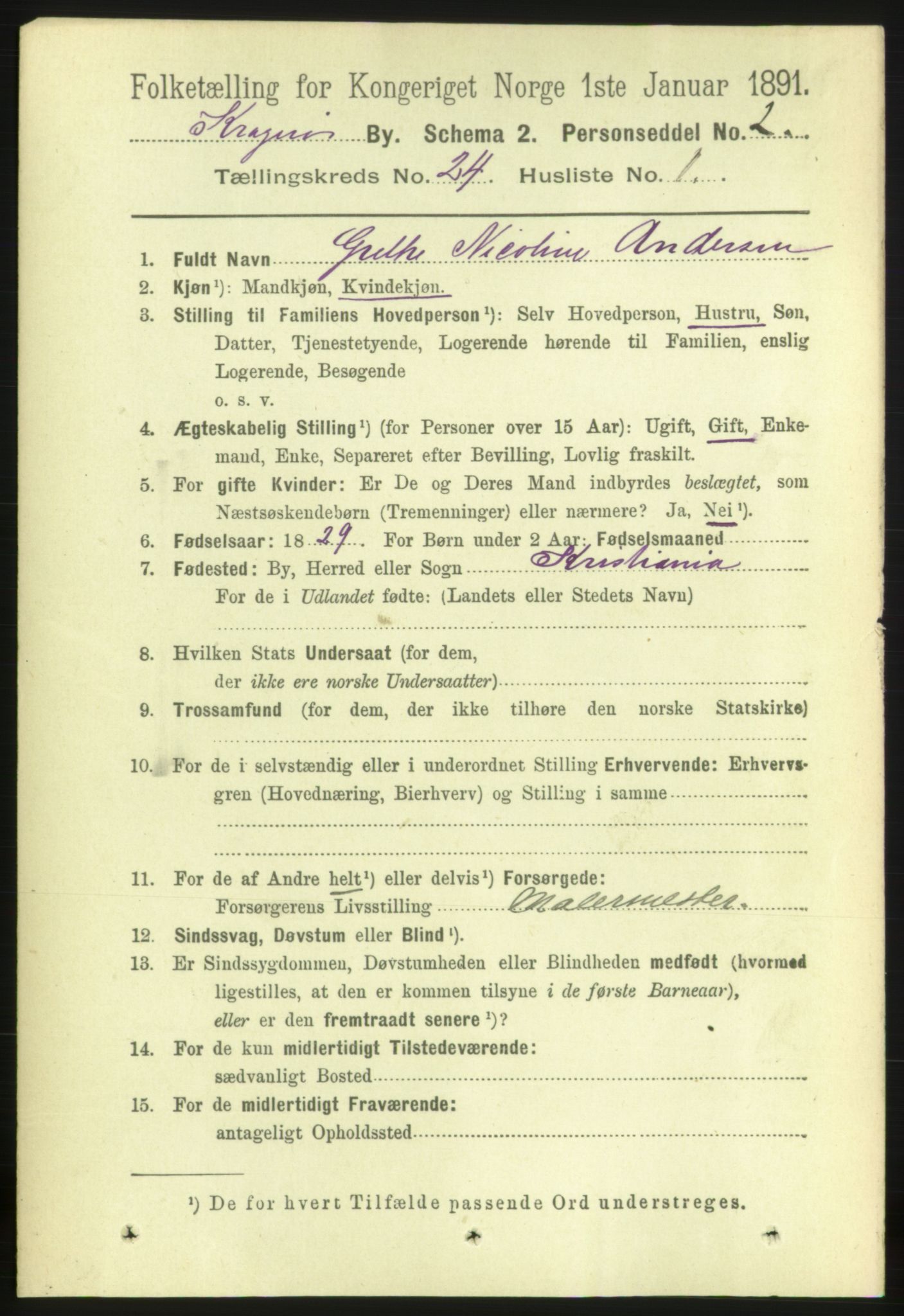 RA, 1891 census for 0801 Kragerø, 1891, p. 4994