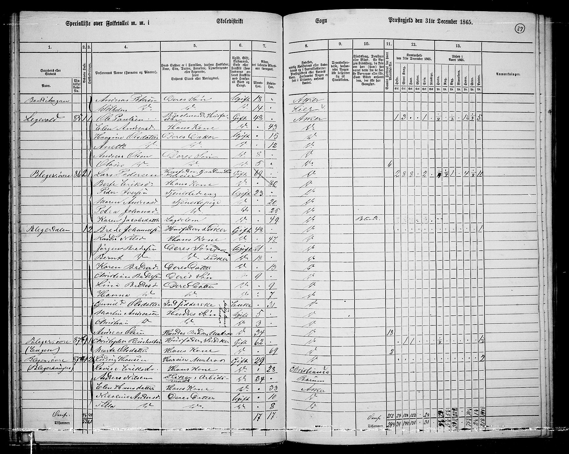 RA, 1865 census for Asker, 1865, p. 39