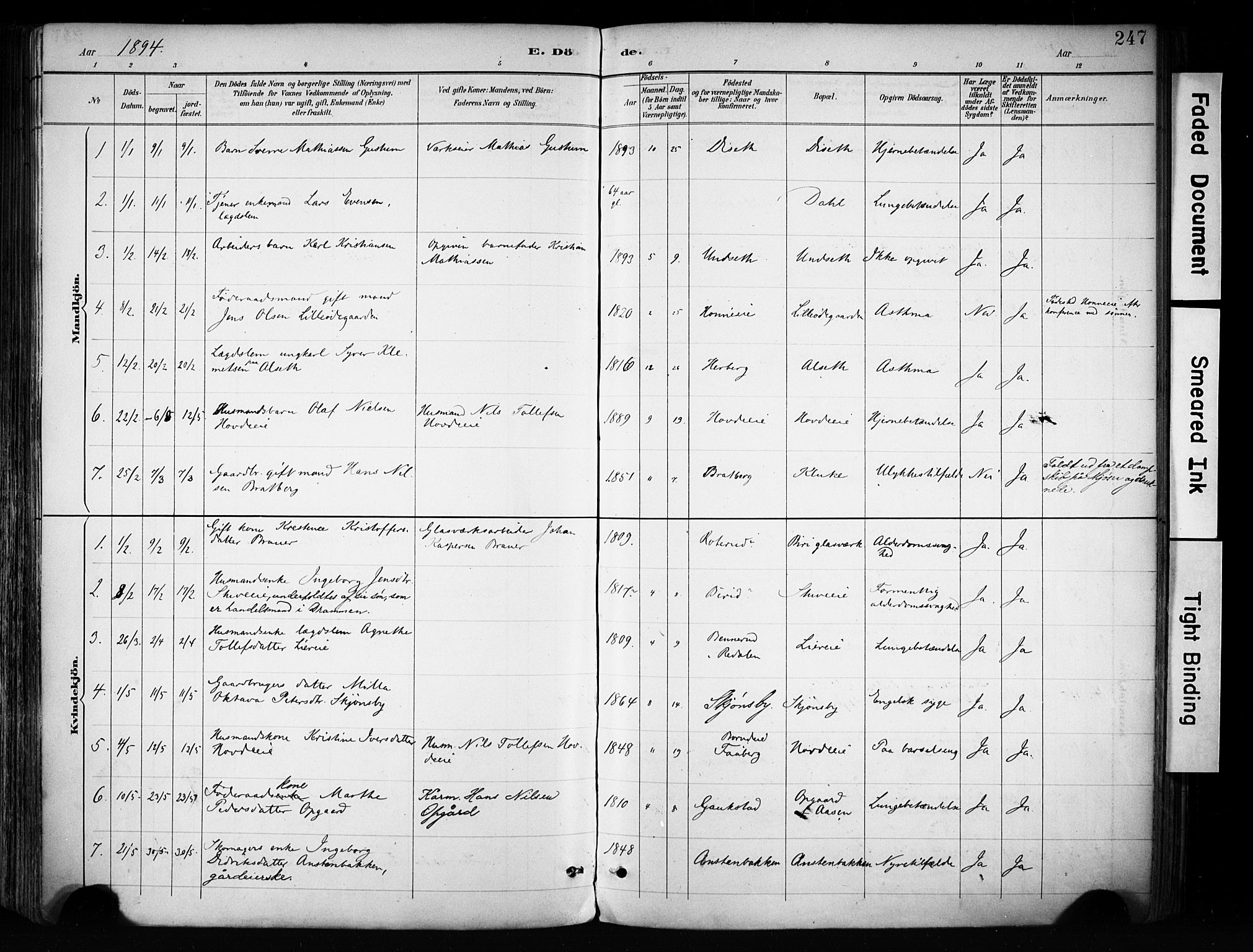Biri prestekontor, SAH/PREST-096/H/Ha/Haa/L0009: Parish register (official) no. 9, 1887-1900, p. 247