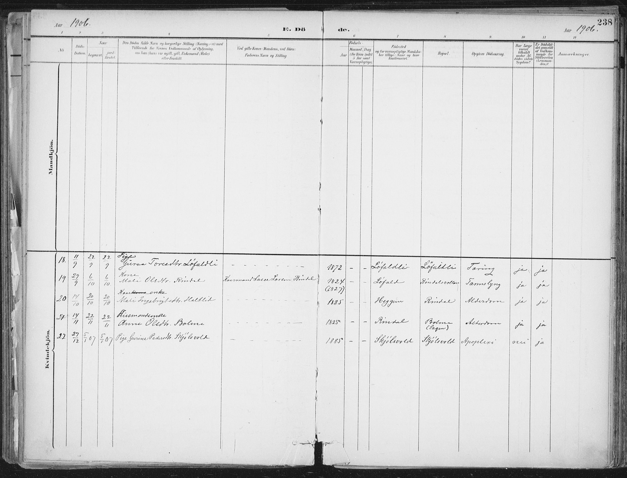 Ministerialprotokoller, klokkerbøker og fødselsregistre - Møre og Romsdal, AV/SAT-A-1454/598/L1072: Parish register (official) no. 598A06, 1896-1910, p. 238