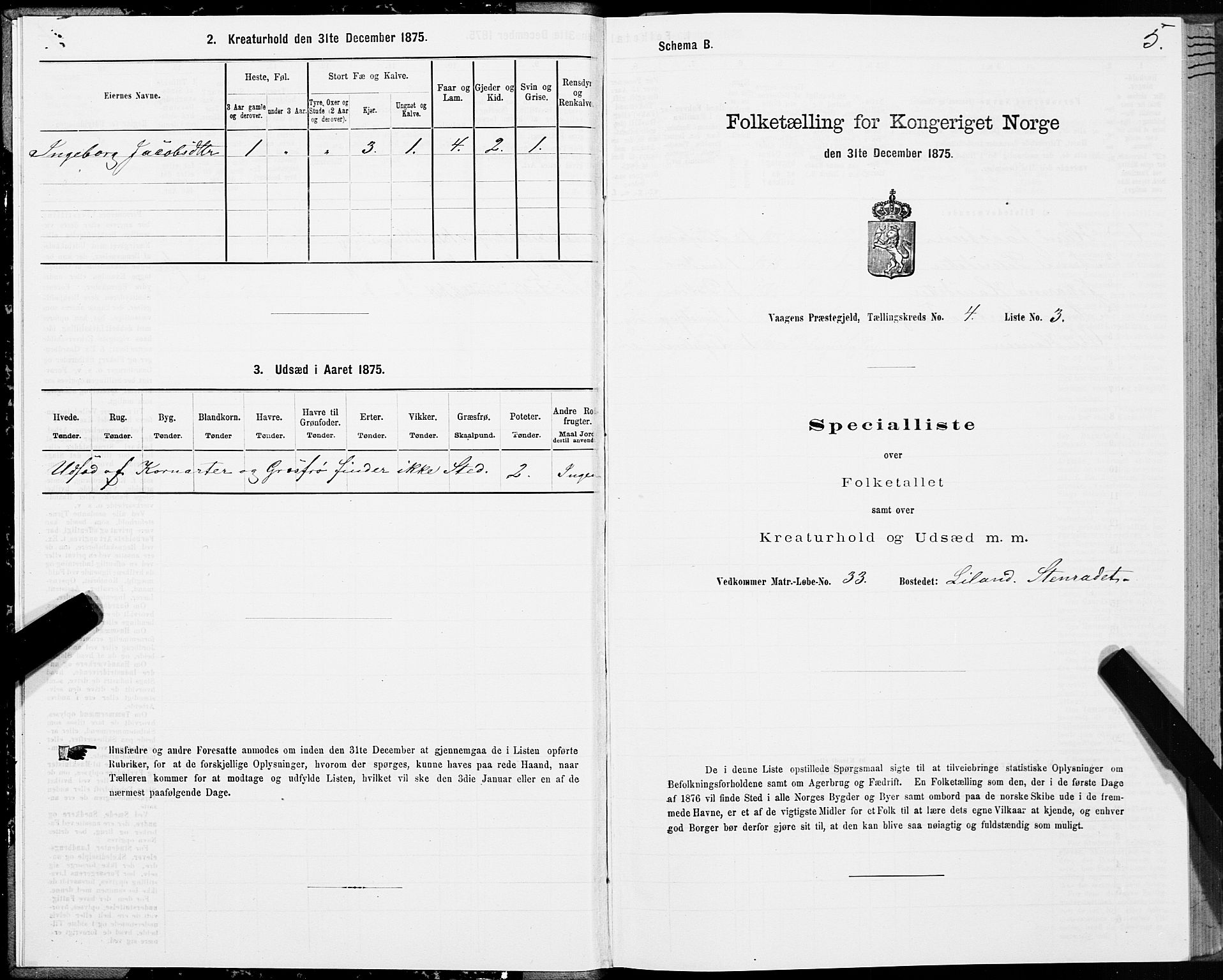 SAT, 1875 census for 1865P Vågan, 1875, p. 3005