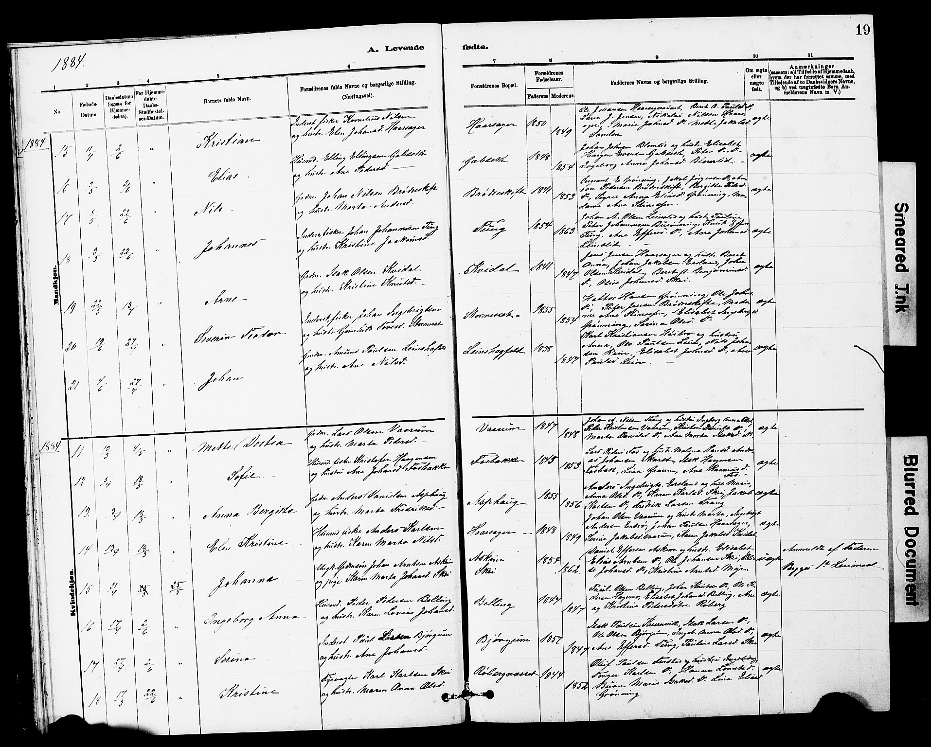 Ministerialprotokoller, klokkerbøker og fødselsregistre - Sør-Trøndelag, SAT/A-1456/646/L0628: Parish register (copy) no. 646C01, 1880-1903, p. 19