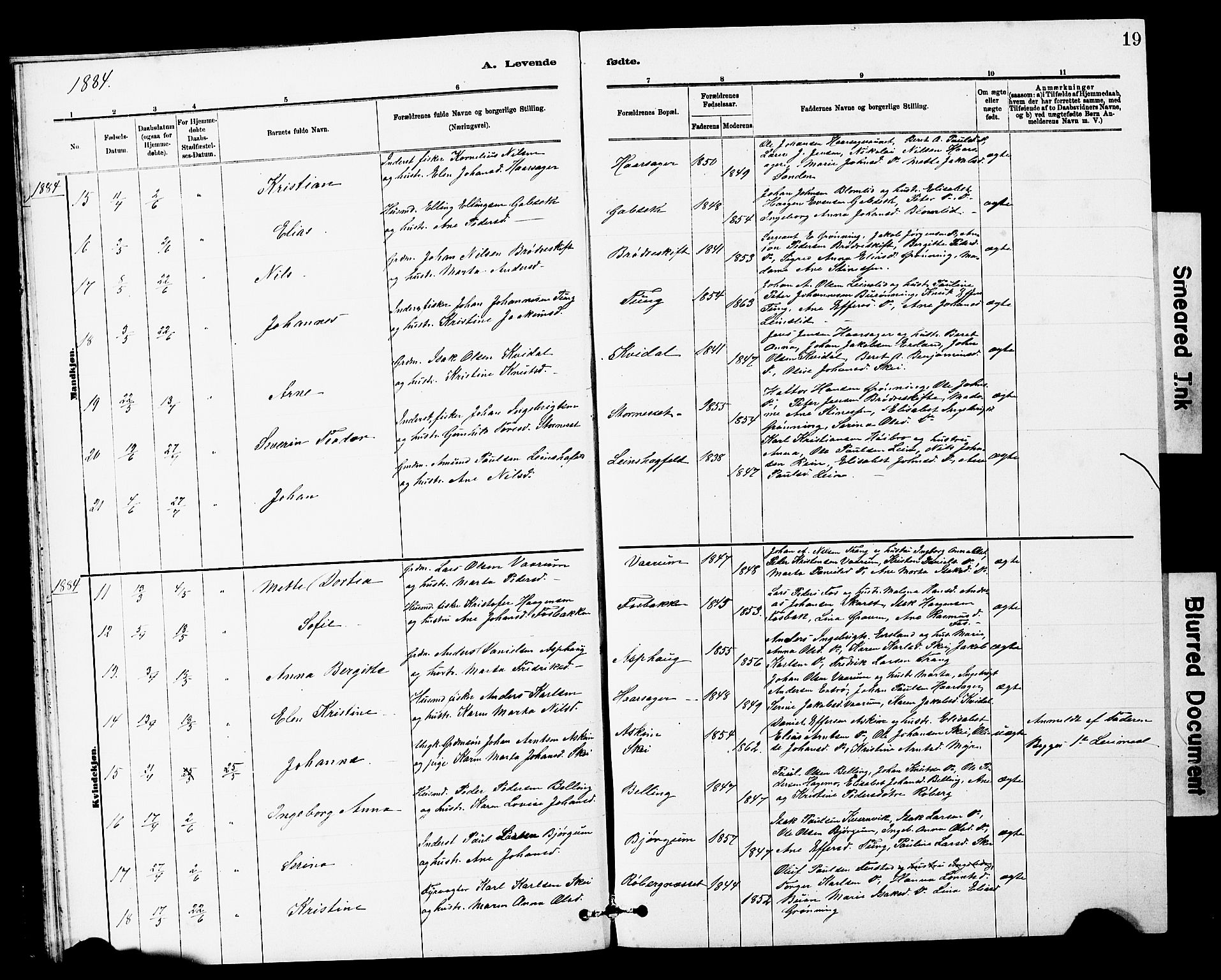 Ministerialprotokoller, klokkerbøker og fødselsregistre - Sør-Trøndelag, AV/SAT-A-1456/646/L0628: Parish register (copy) no. 646C01, 1880-1903, p. 19