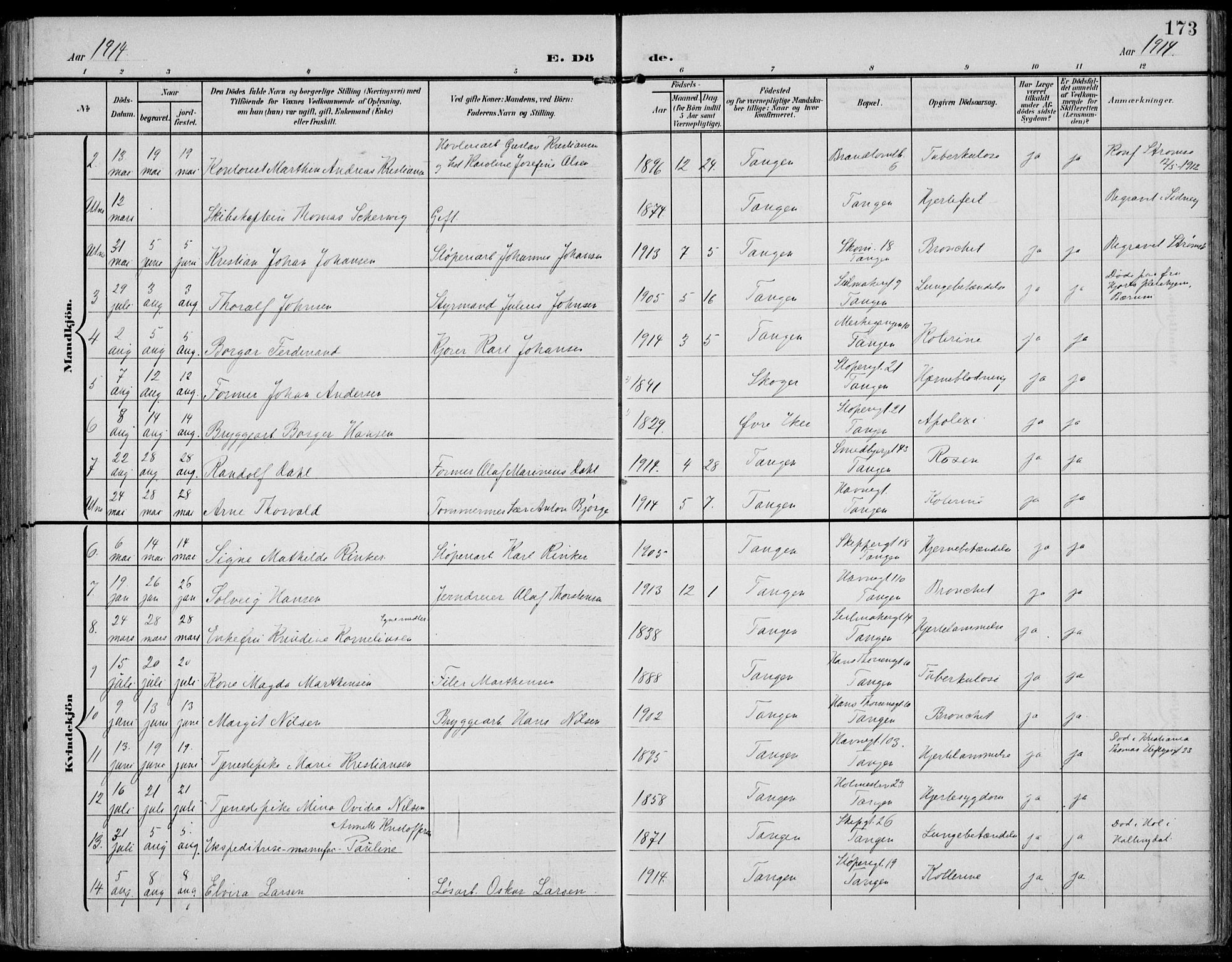 Strømsø kirkebøker, AV/SAKO-A-246/F/Fb/L0008: Parish register (official) no. II 8, 1902-1933, p. 173