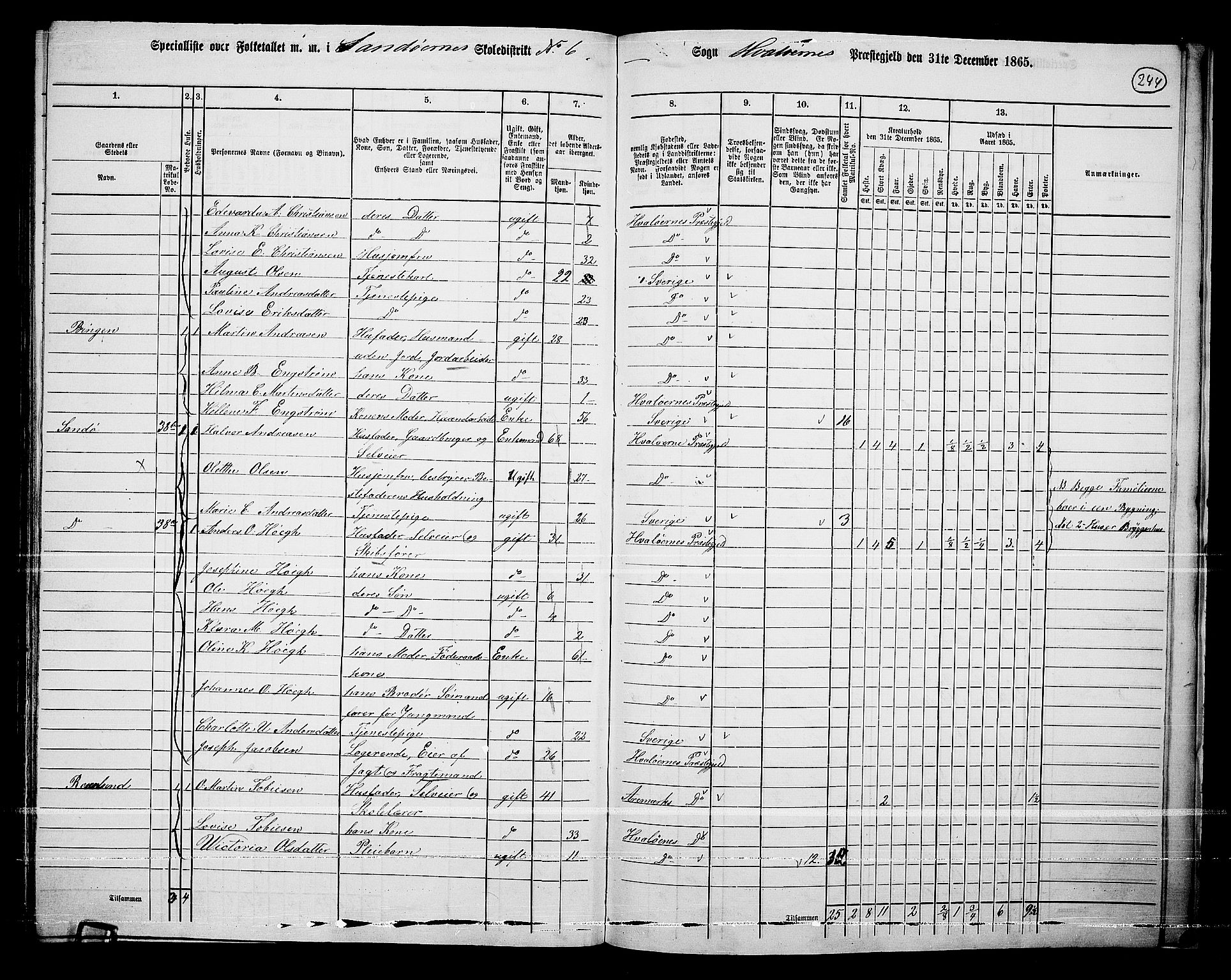 RA, 1865 census for Hvaler, 1865, p. 78