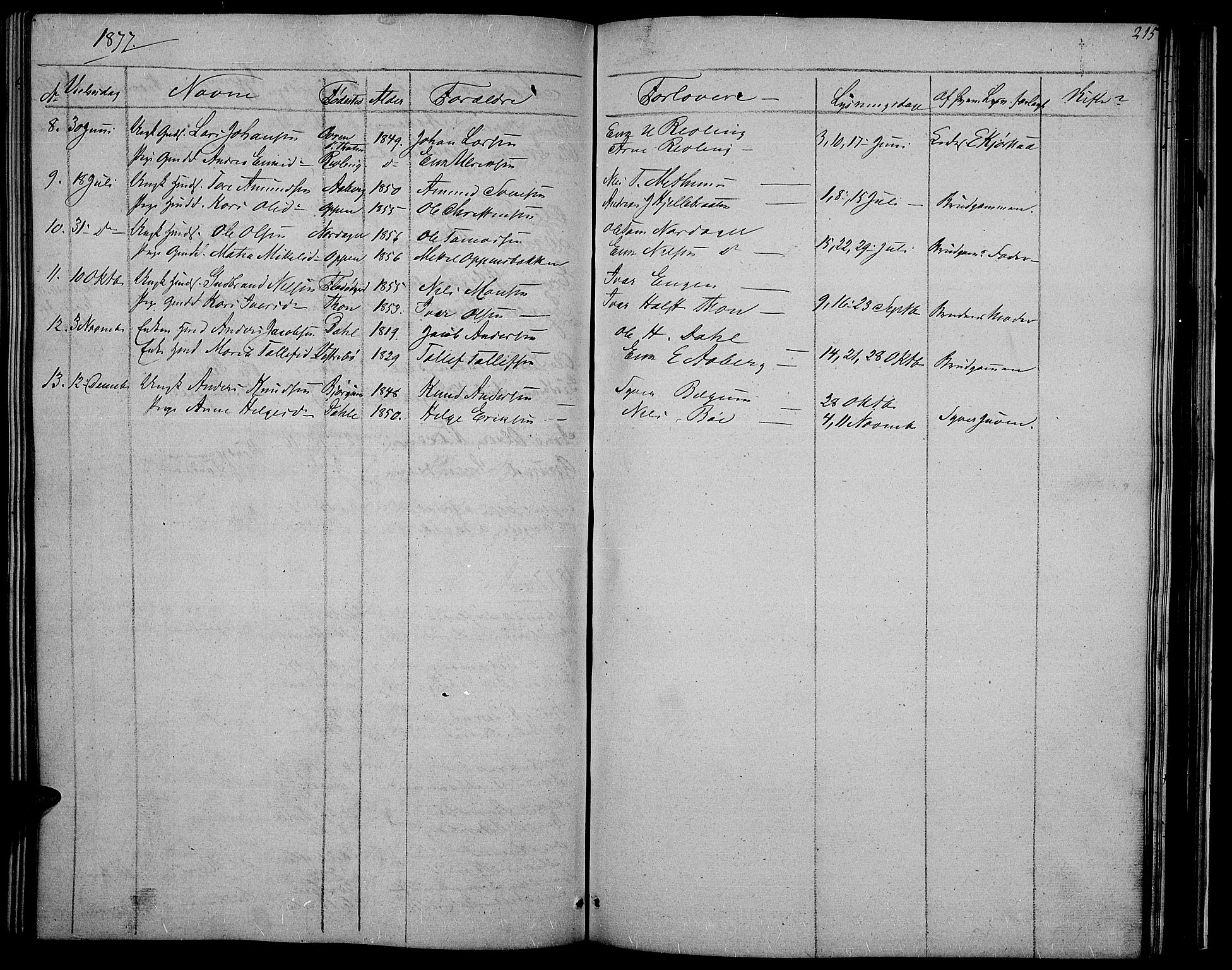 Nord-Aurdal prestekontor, SAH/PREST-132/H/Ha/Hab/L0002: Parish register (copy) no. 2, 1842-1877, p. 215