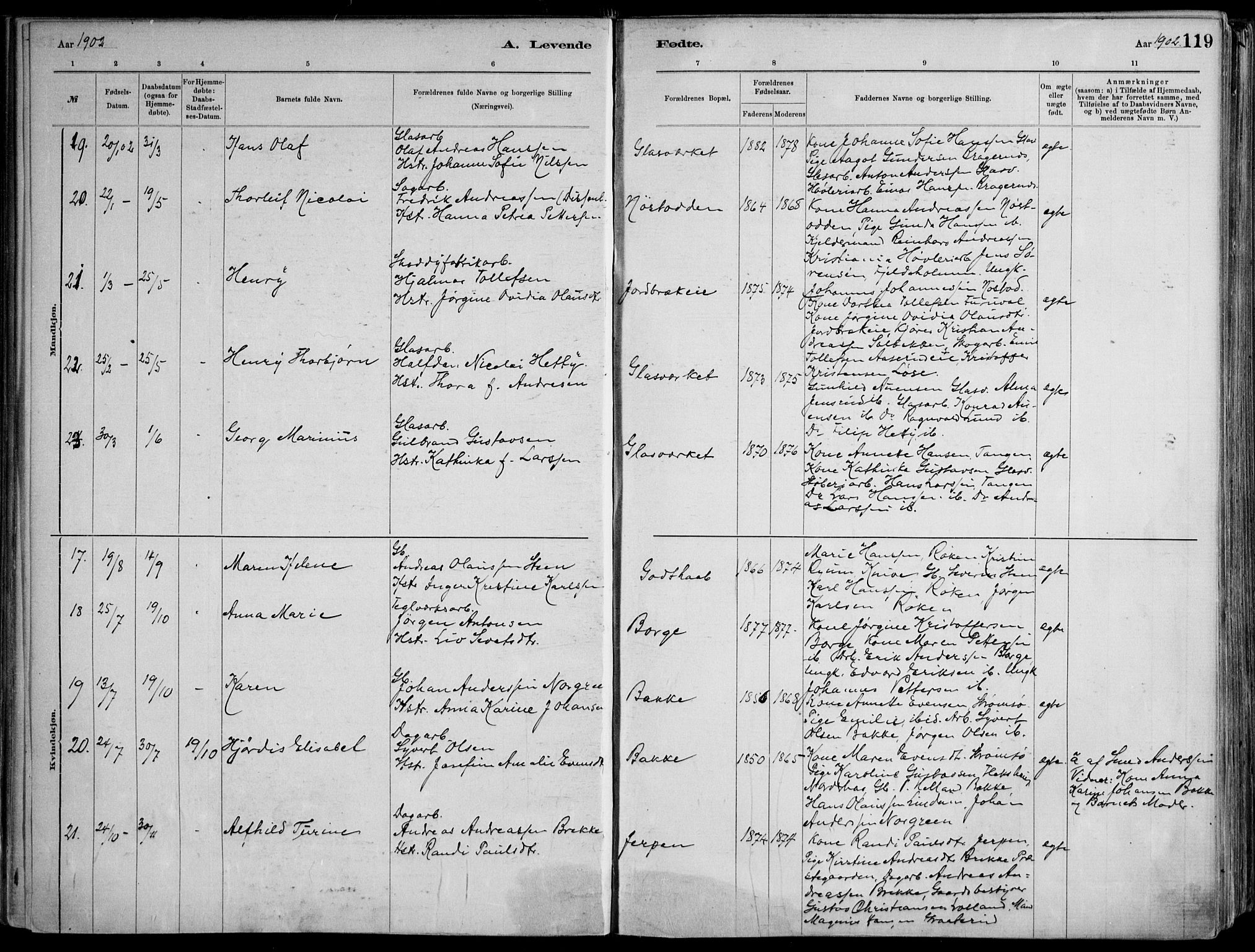 Skoger kirkebøker, AV/SAKO-A-59/F/Fa/L0006: Parish register (official) no. I 6, 1885-1910, p. 119