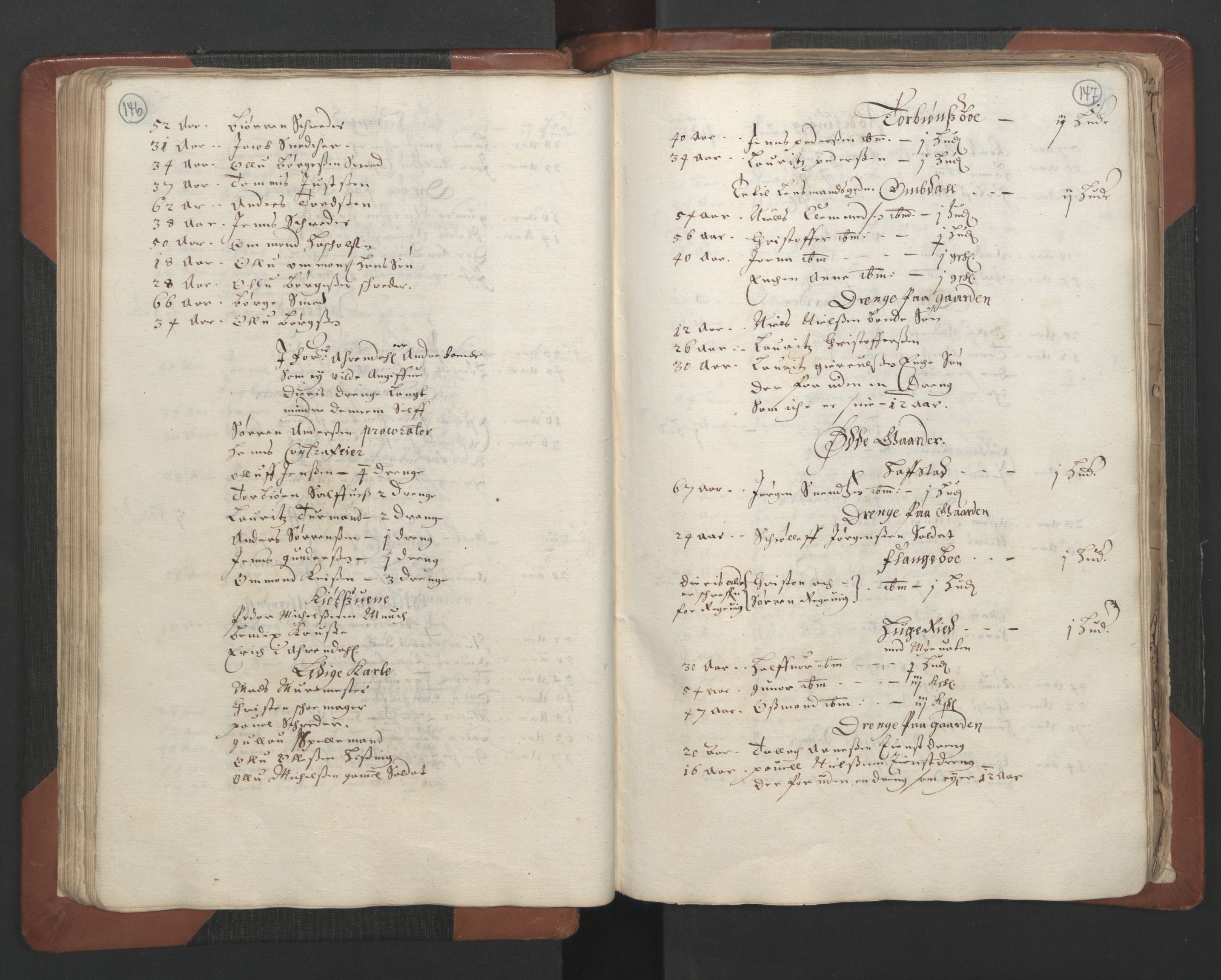 RA, Bailiff's Census 1664-1666, no. 7: Nedenes fogderi, 1664-1666, p. 146-147