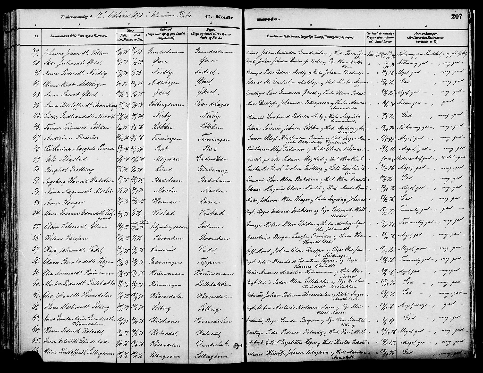 Elverum prestekontor, AV/SAH-PREST-044/H/Ha/Haa/L0013: Parish register (official) no. 13, 1880-1890, p. 207