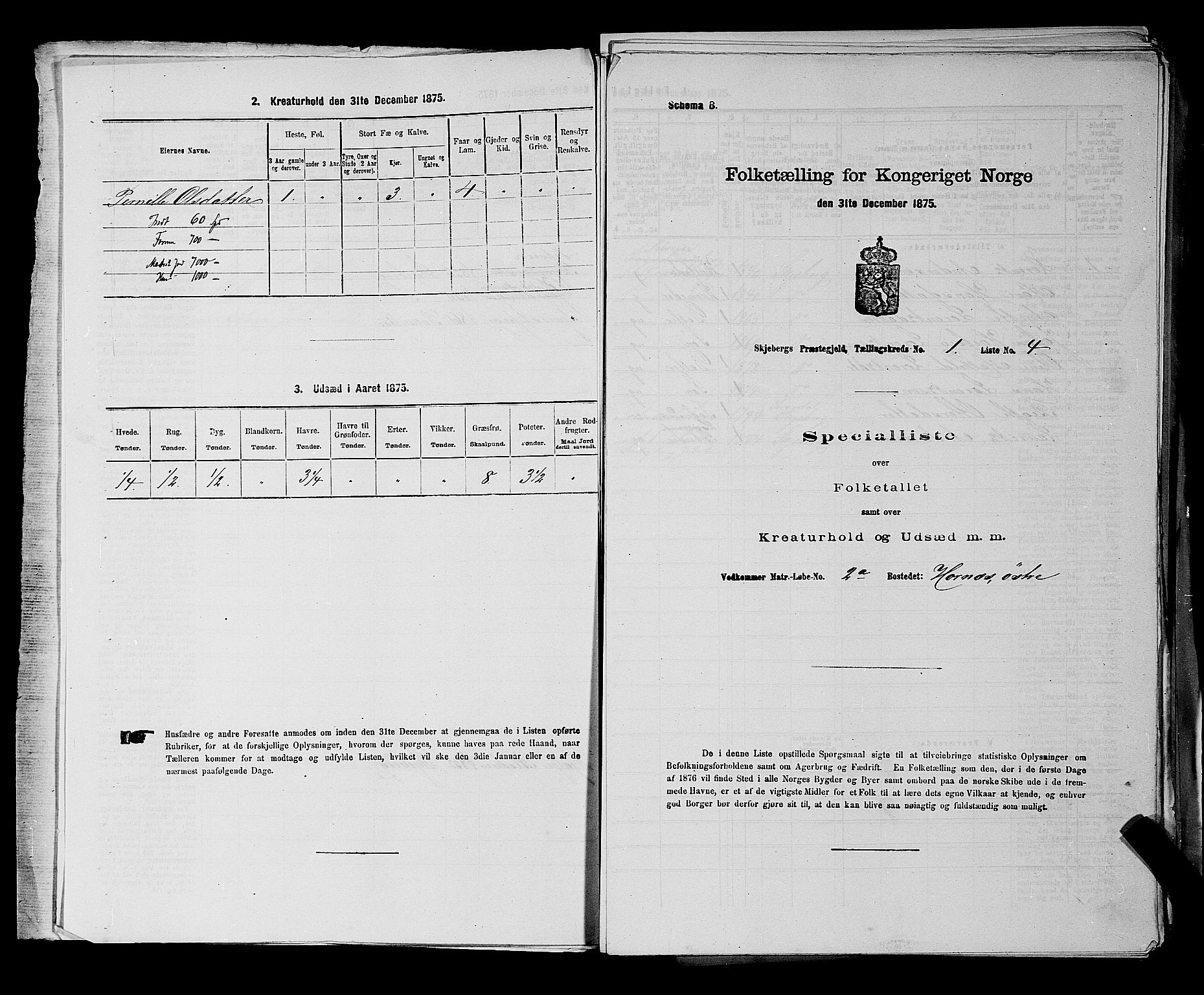 RA, 1875 census for 0115P Skjeberg, 1875, p. 35