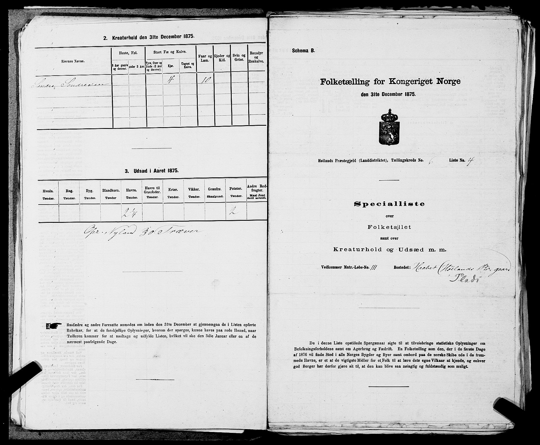 SAST, 1875 census for 1123L Høyland/Høyland, 1875, p. 820