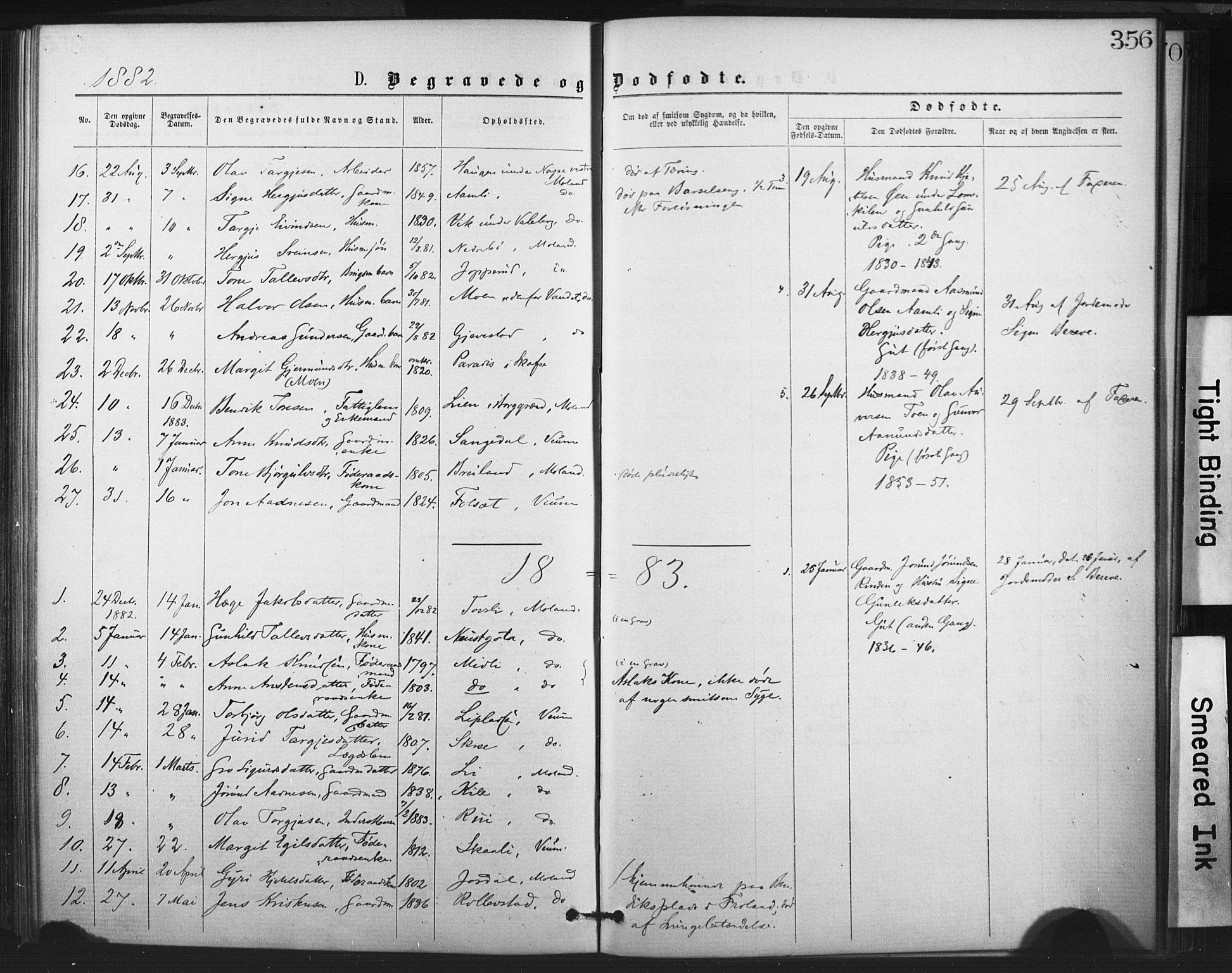 Fyresdal kirkebøker, SAKO/A-263/F/Fa/L0006: Parish register (official) no. I 6, 1872-1886, p. 356