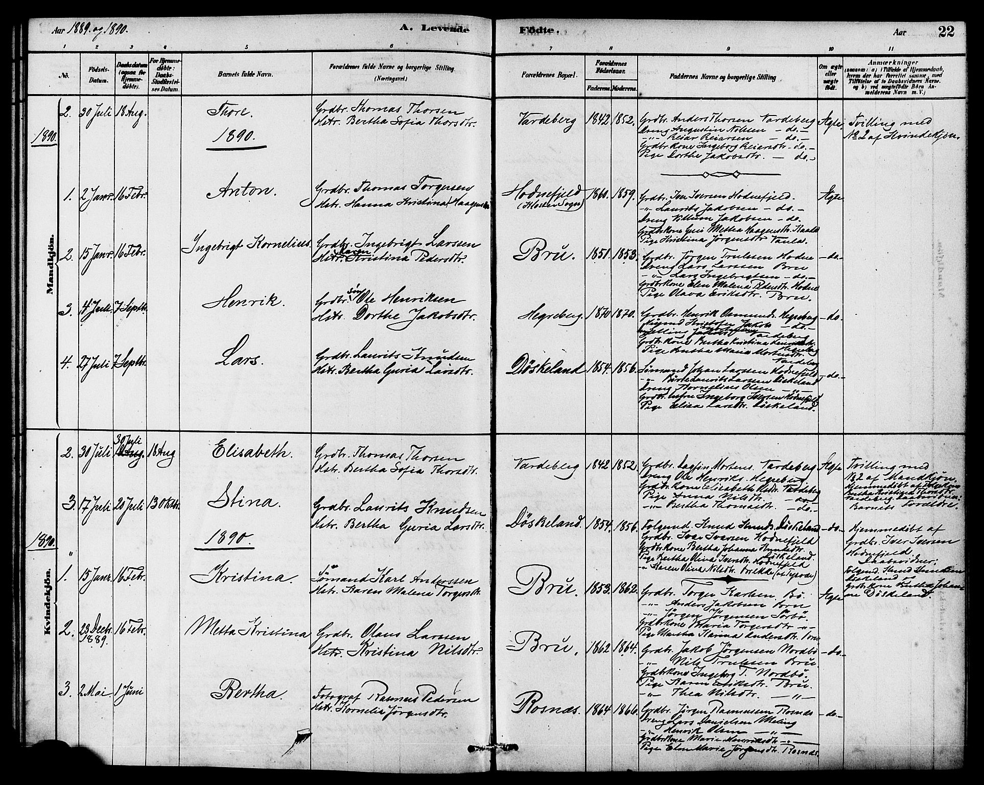 Rennesøy sokneprestkontor, SAST/A -101827/H/Ha/Haa/L0009: Parish register (official) no. A 9, 1878-1890, p. 22