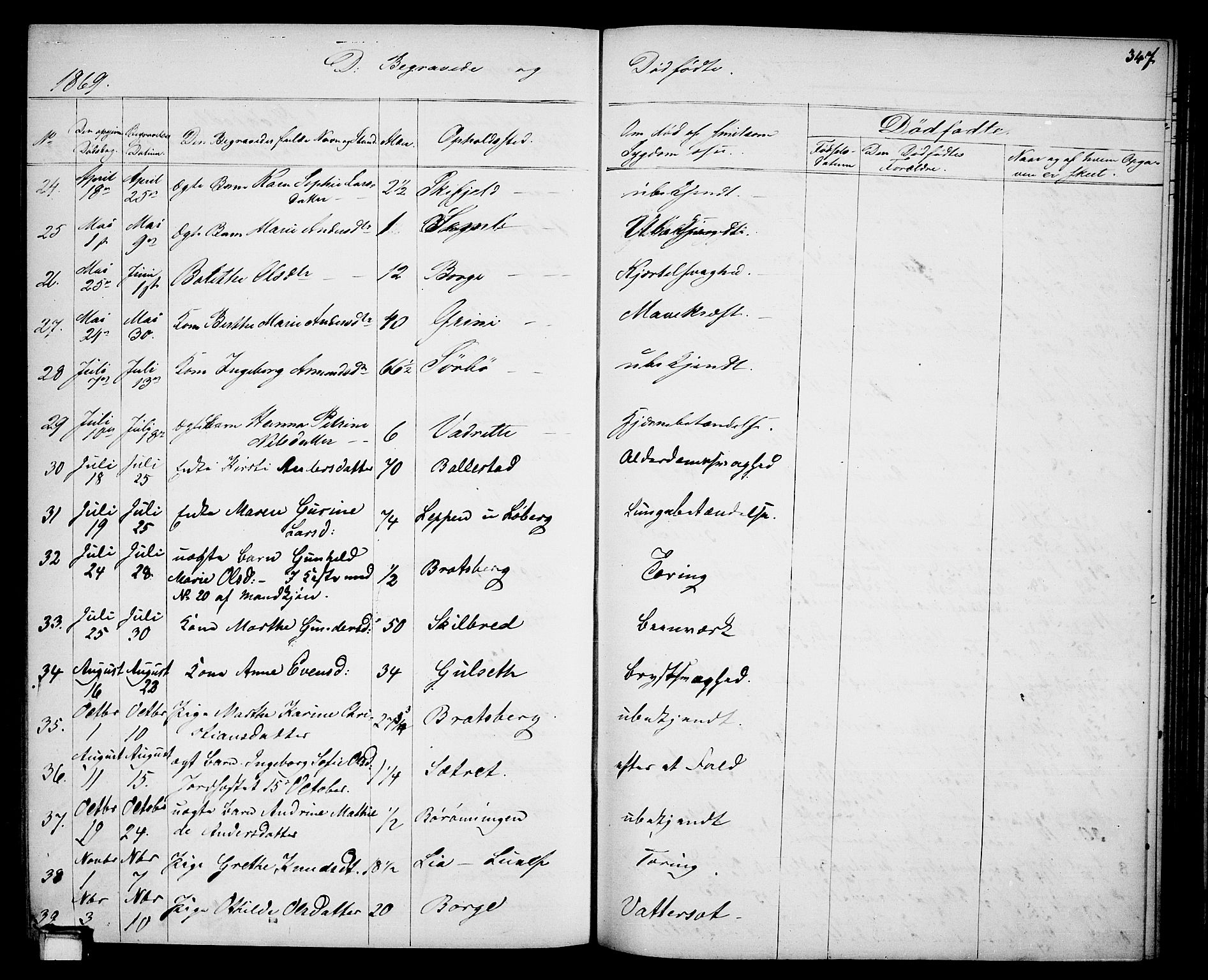 Gjerpen kirkebøker, SAKO/A-265/G/Ga/L0001: Parish register (copy) no. I 1, 1864-1882, p. 347