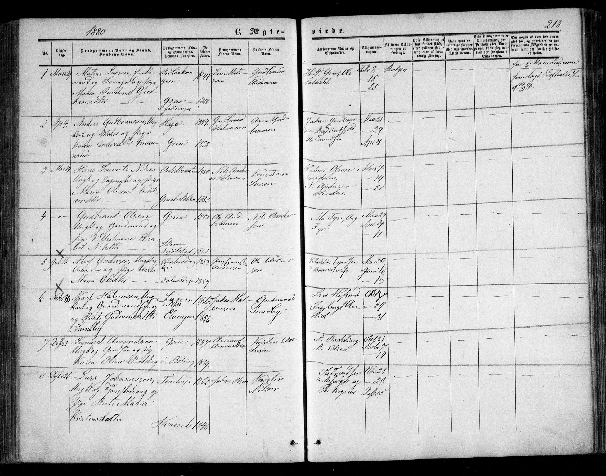Nes prestekontor Kirkebøker, SAO/A-10410/F/Fc/L0001: Parish register (official) no. III 1, 1859-1882, p. 213