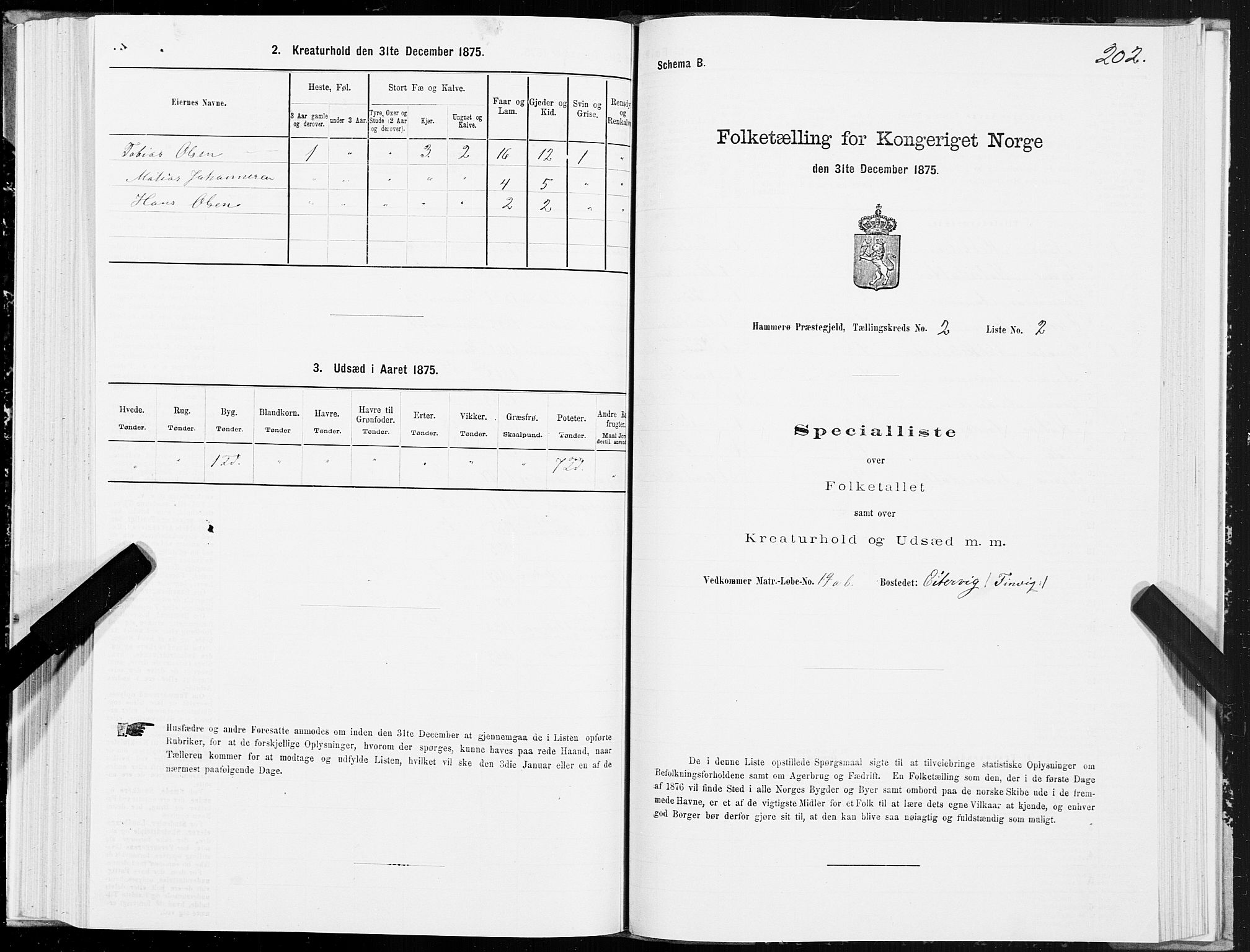 SAT, 1875 census for 1849P Hamarøy, 1875, p. 1202