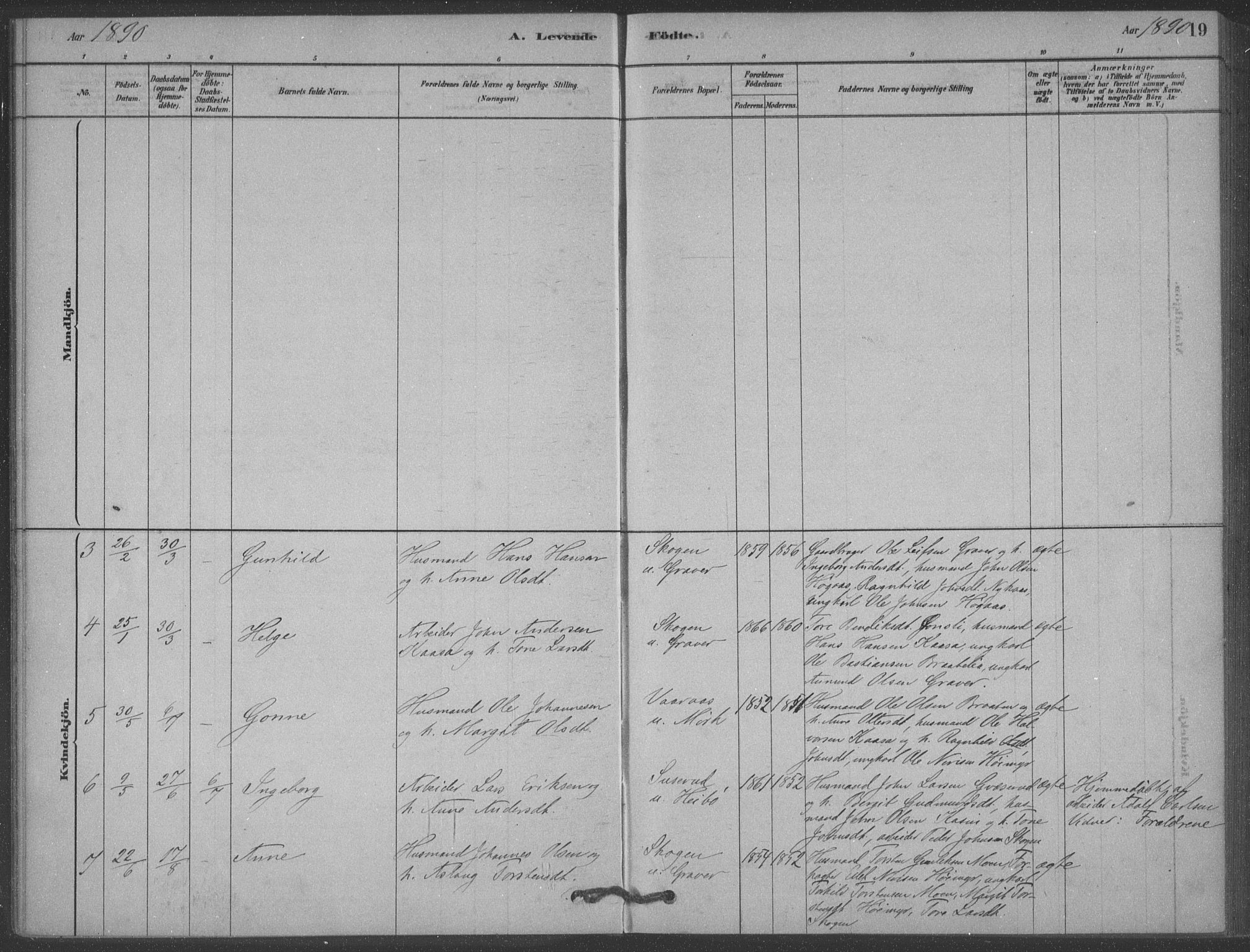 Heddal kirkebøker, SAKO/A-268/F/Fb/L0002: Parish register (official) no. II 2, 1878-1913, p. 19