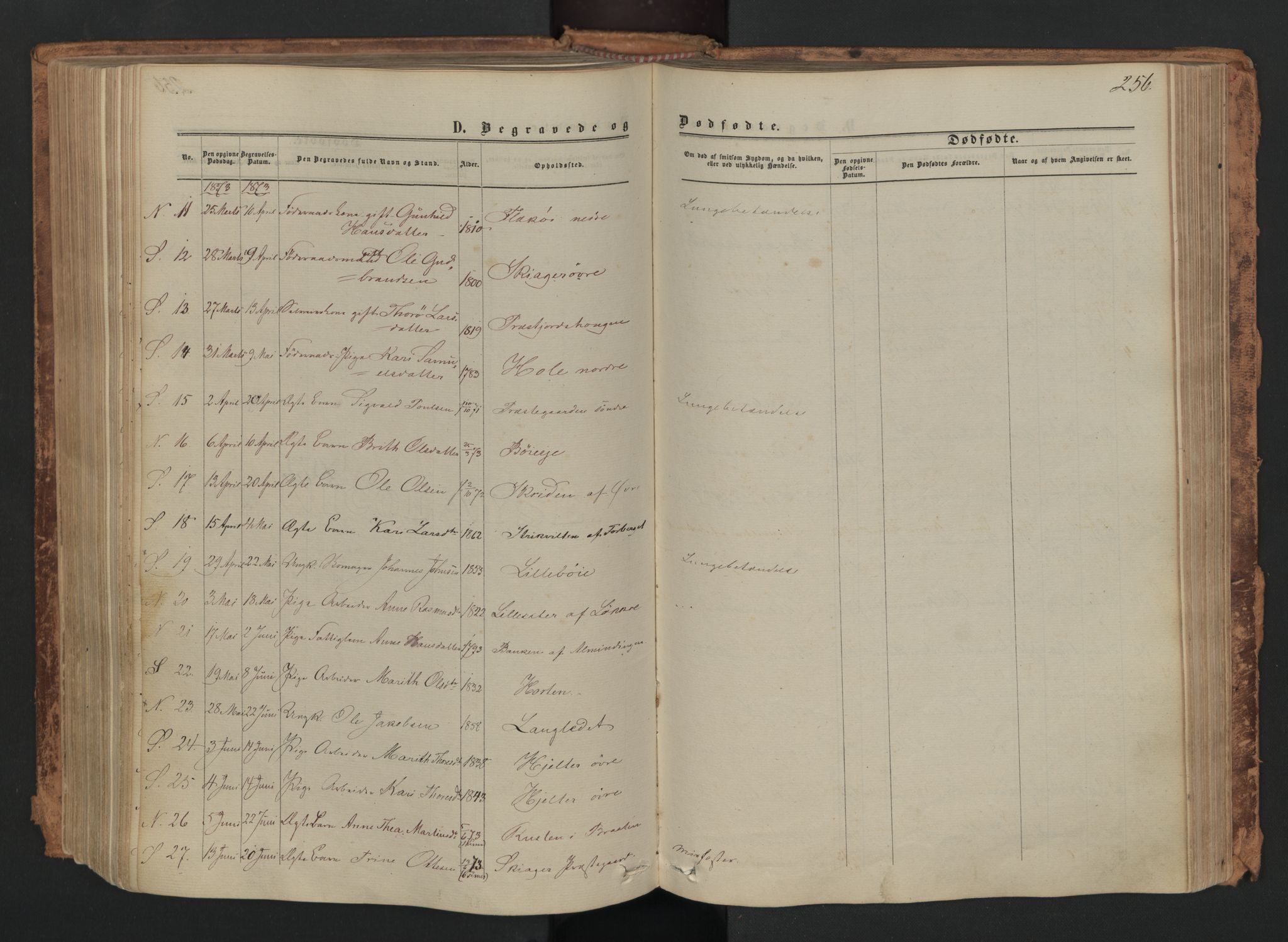 Skjåk prestekontor, SAH/PREST-072/H/Ha/Haa/L0001: Parish register (official) no. 1, 1863-1879, p. 256