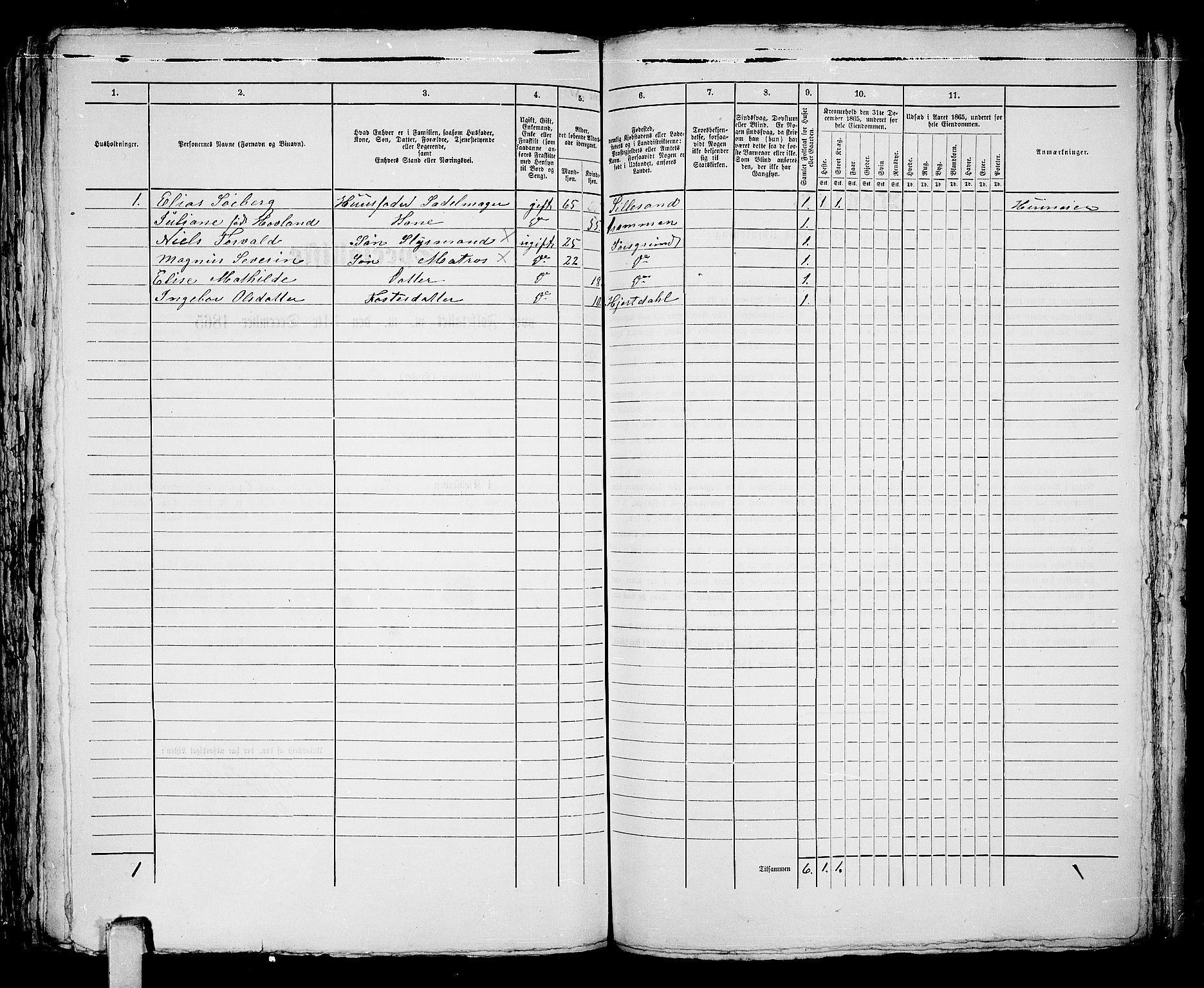 RA, 1865 census for Porsgrunn, 1865, p. 703