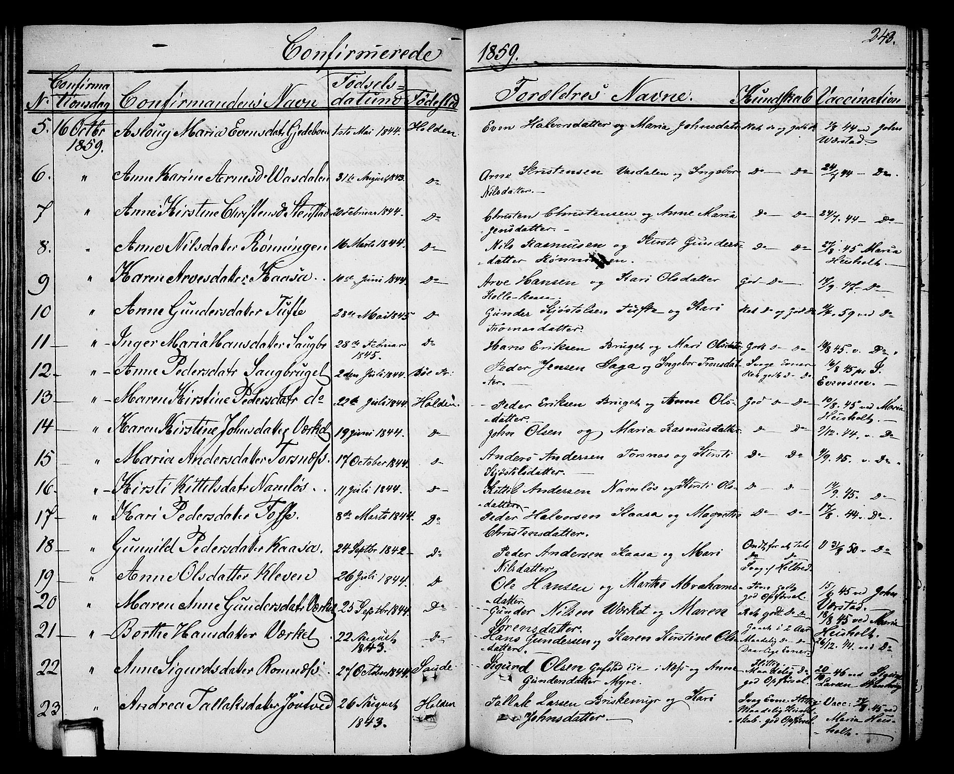 Holla kirkebøker, SAKO/A-272/G/Ga/L0003: Parish register (copy) no. I 3, 1849-1866, p. 243