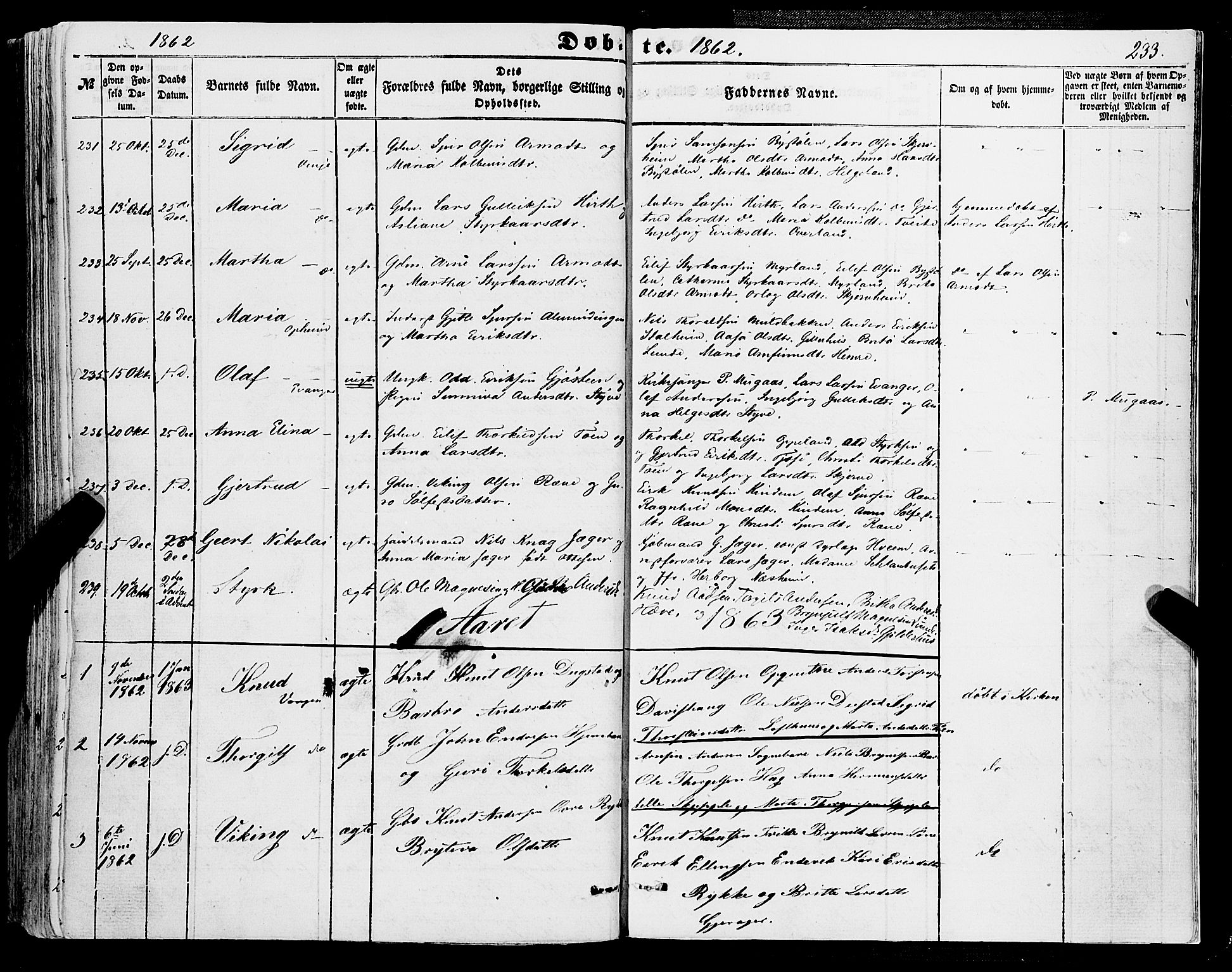 Voss sokneprestembete, SAB/A-79001/H/Haa: Parish register (official) no. A 16, 1849-1863, p. 233