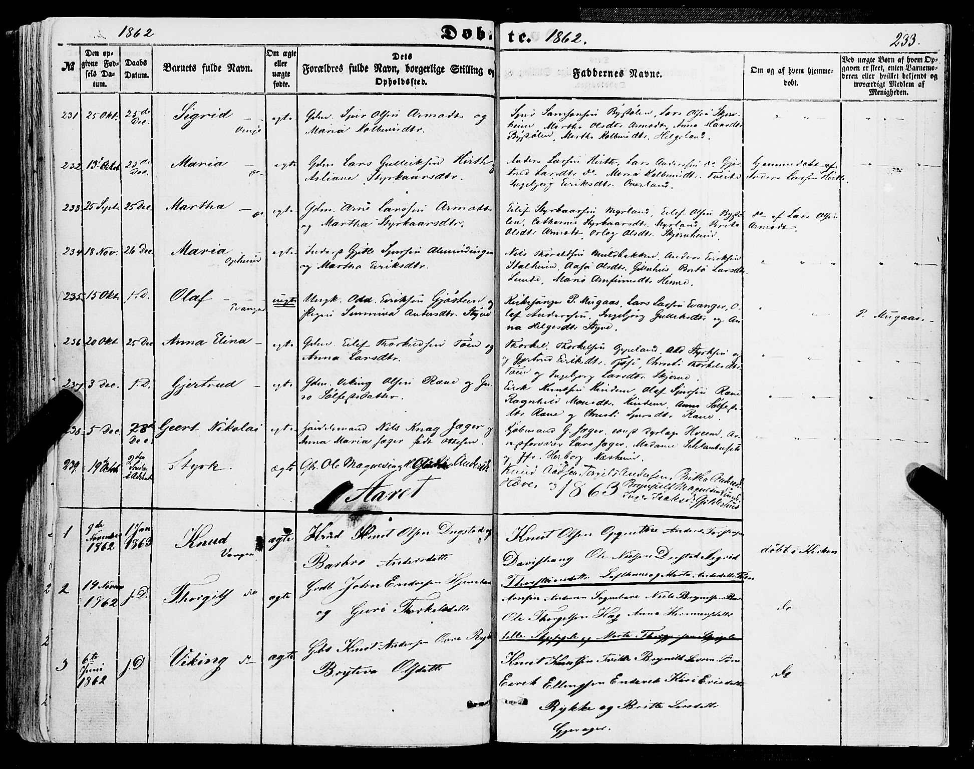 Voss sokneprestembete, AV/SAB-A-79001/H/Haa: Parish register (official) no. A 16, 1849-1863, p. 233