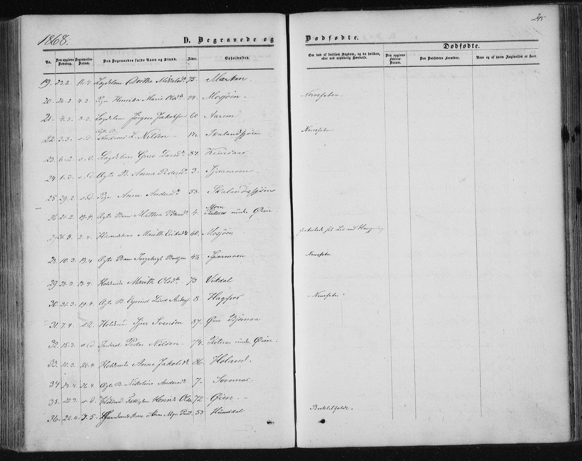 Ministerialprotokoller, klokkerbøker og fødselsregistre - Nordland, SAT/A-1459/820/L0294: Parish register (official) no. 820A15, 1866-1879, p. 295