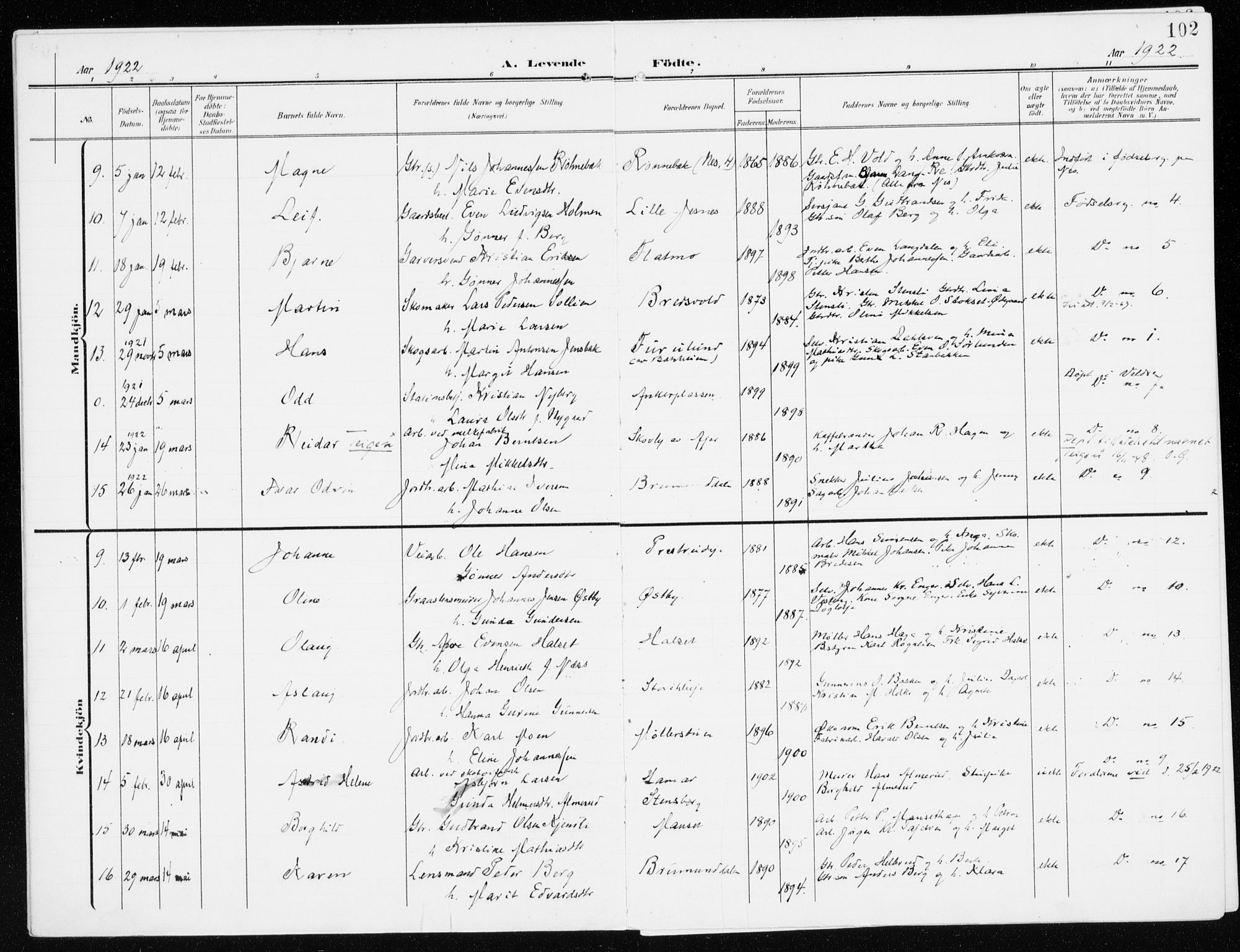 Furnes prestekontor, SAH/PREST-012/K/Ka/L0001: Parish register (official) no. 1, 1907-1935, p. 102
