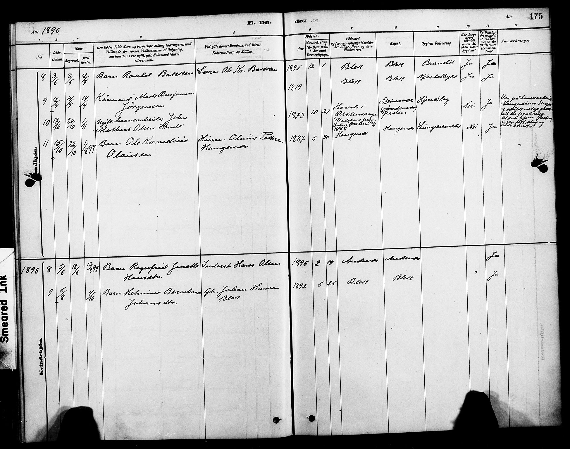 Ministerialprotokoller, klokkerbøker og fødselsregistre - Nordland, SAT/A-1459/899/L1436: Parish register (official) no. 899A04, 1881-1896, p. 175