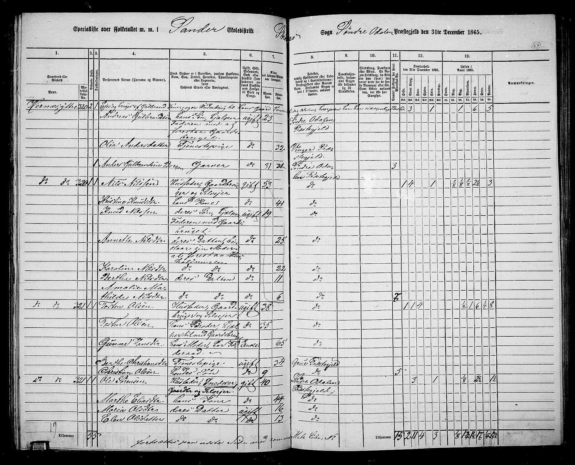 RA, 1865 census for Sør-Odal, 1865, p. 167