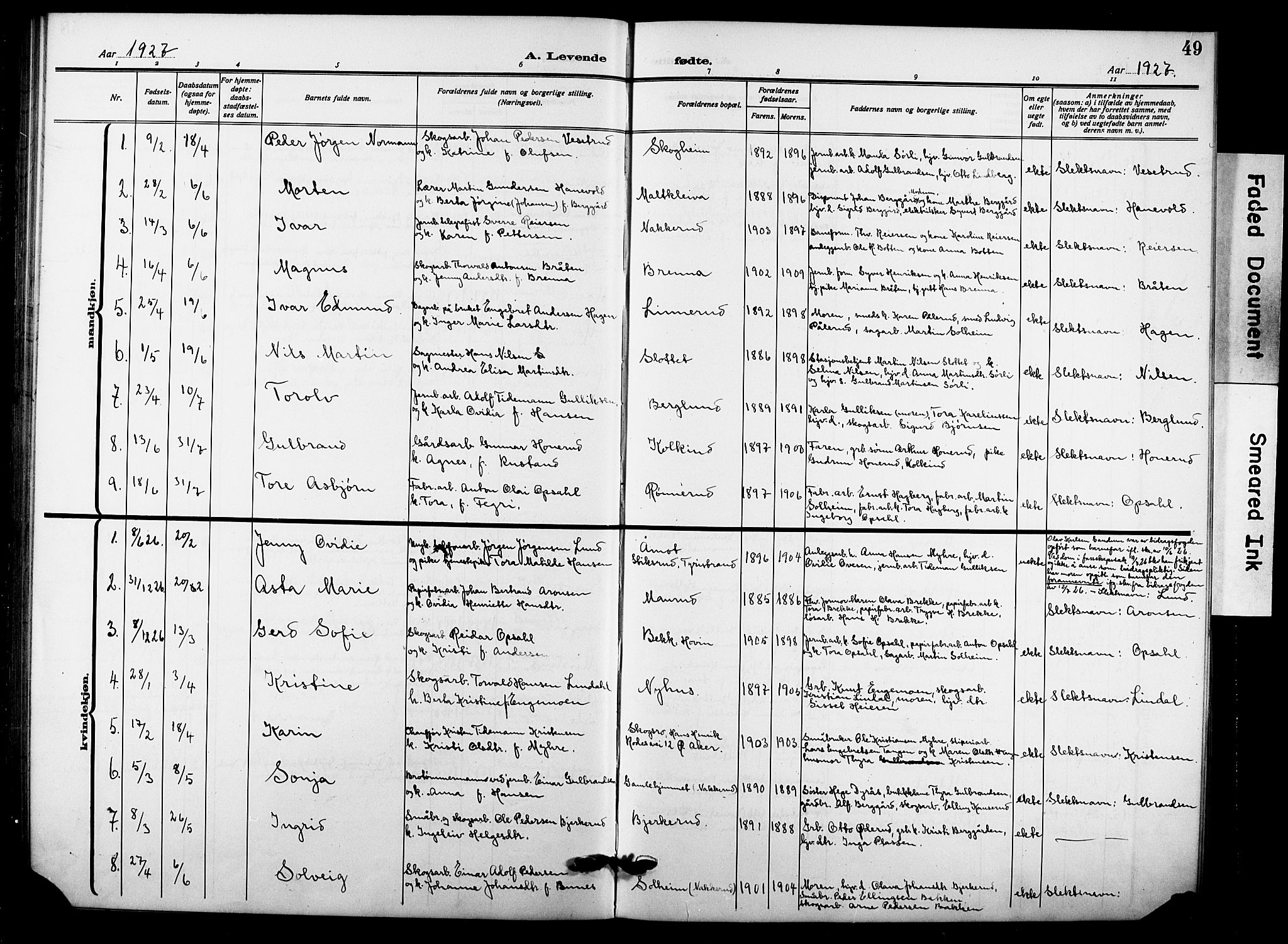 Hole kirkebøker, SAKO/A-228/G/Gb/L0005: Parish register (copy) no. II 5, 1915-1932, p. 49