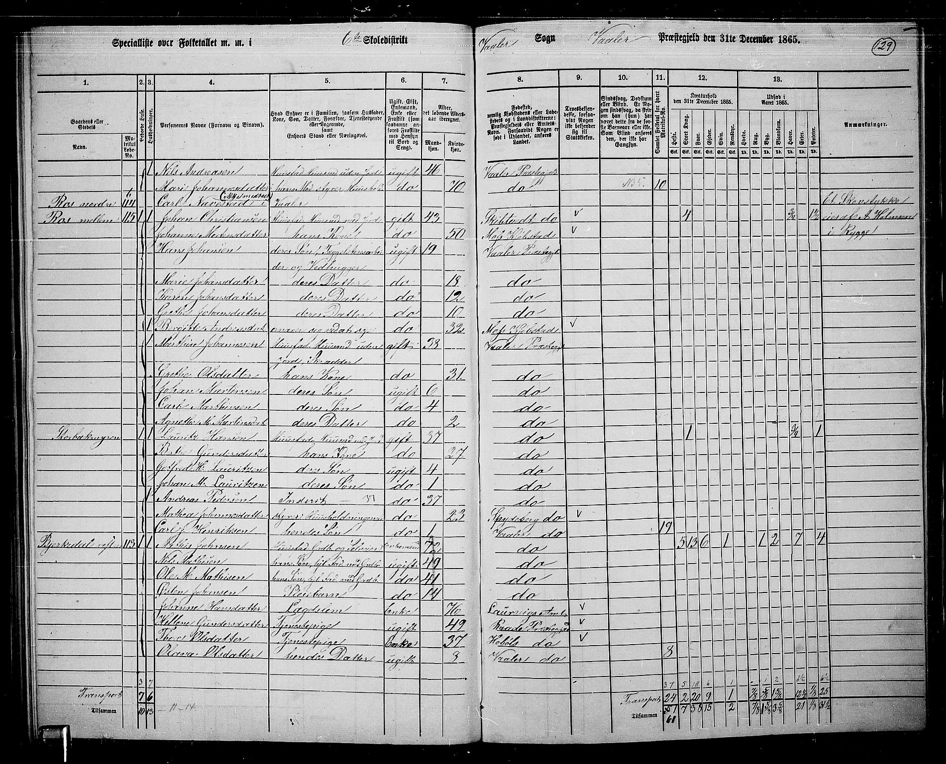 RA, 1865 census for Våler, 1865, p. 111