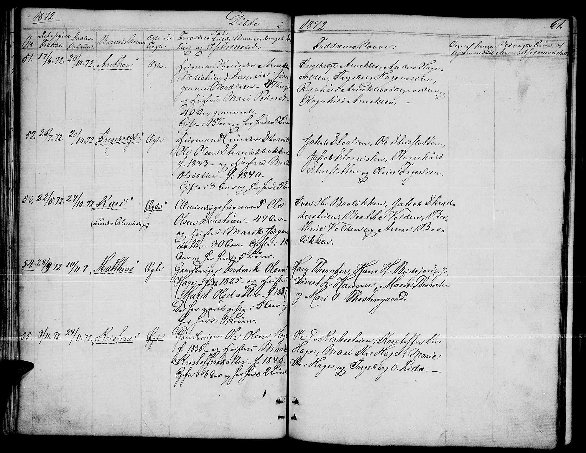 Dovre prestekontor, AV/SAH-PREST-066/H/Ha/Hab/L0001: Parish register (copy) no. 1, 1862-1880, p. 61