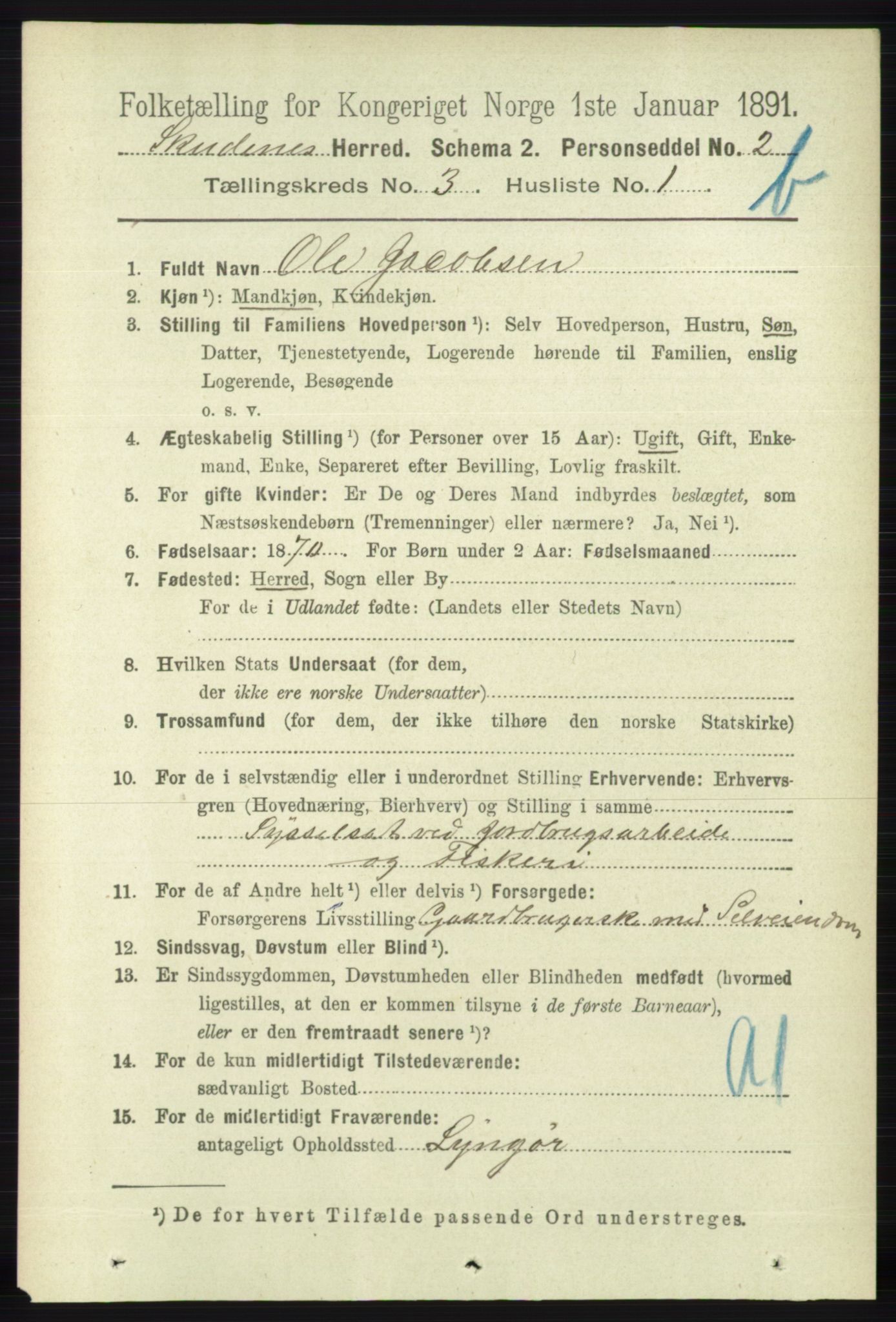 RA, 1891 census for 1150 Skudenes, 1891, p. 3999