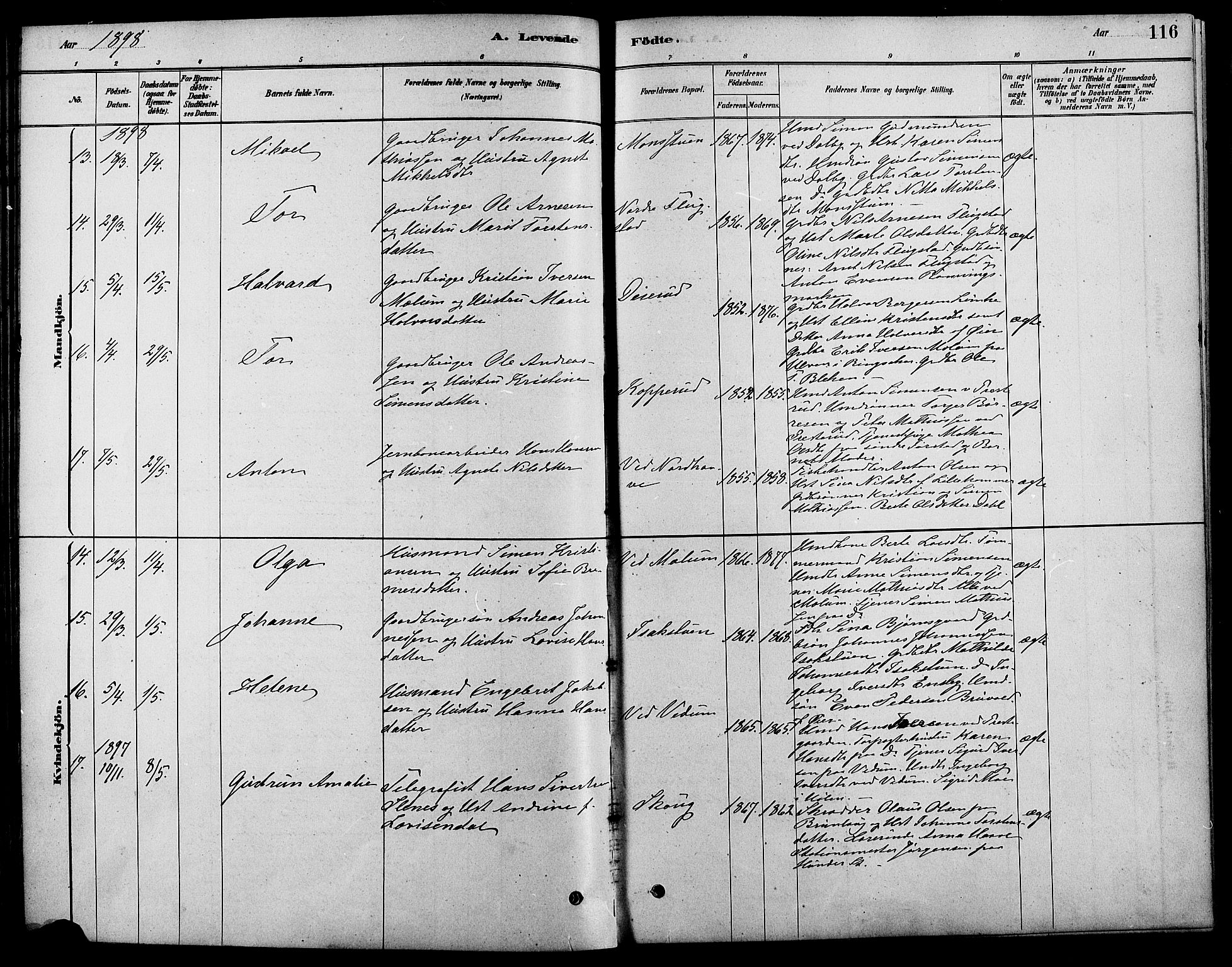 Fåberg prestekontor, SAH/PREST-086/H/Ha/Haa/L0008: Parish register (official) no. 8, 1879-1898, p. 116