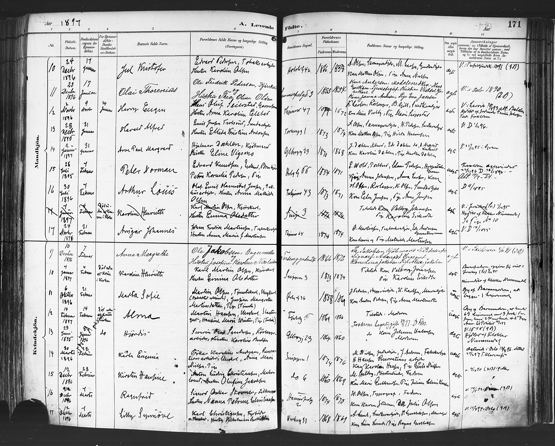Petrus prestekontor Kirkebøker, AV/SAO-A-10872/F/Fa/L0004: Parish register (official) no. 4, 1888-1898, p. 171