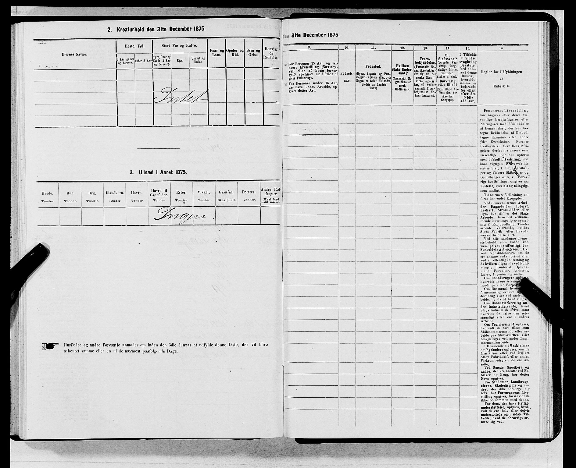 SAB, 1875 census for 1301 Bergen, 1875, p. 6131