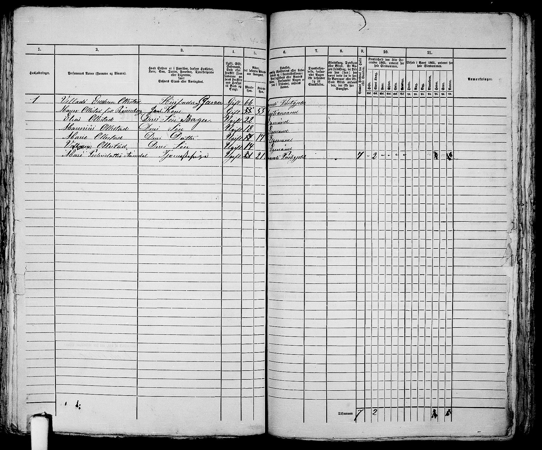 RA, 1865 census for Eigersund parish, Egersund town, 1865, p. 369