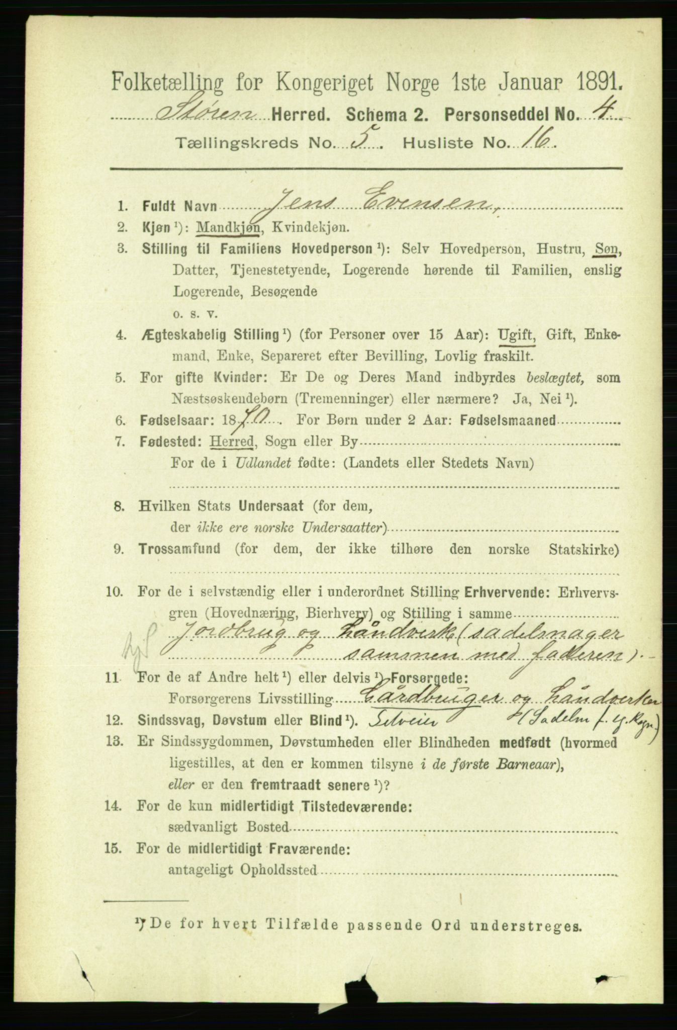 RA, 1891 census for 1648 Støren, 1891, p. 2031