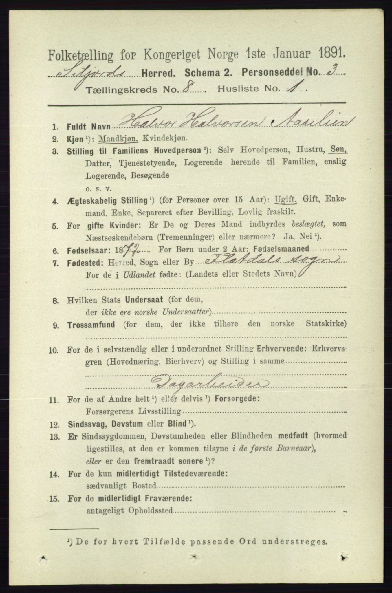 RA, 1891 census for 0828 Seljord, 1891, p. 2878