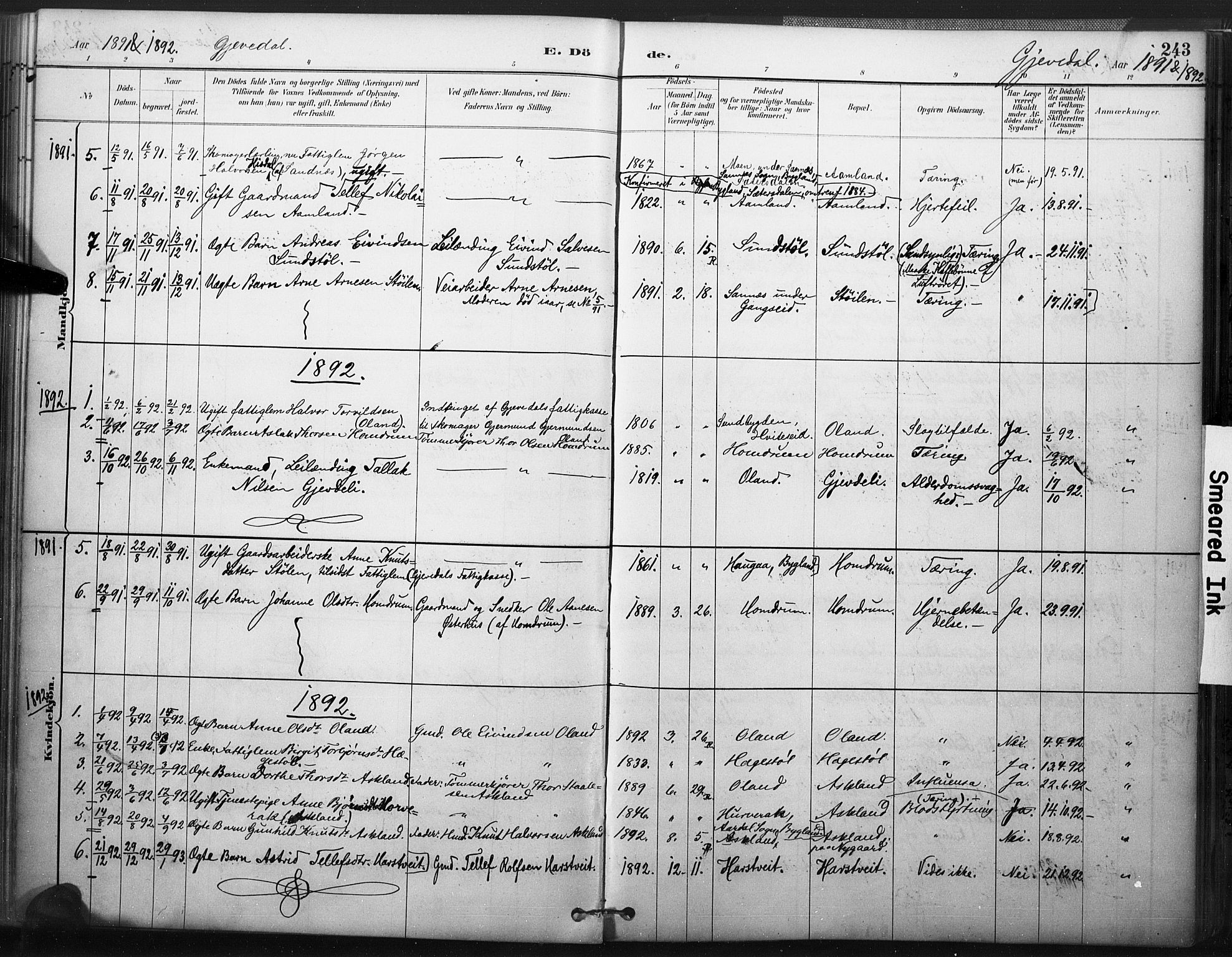 Åmli sokneprestkontor, SAK/1111-0050/F/Fa/Fac/L0010: Parish register (official) no. A 10 /2, 1885-1899, p. 243