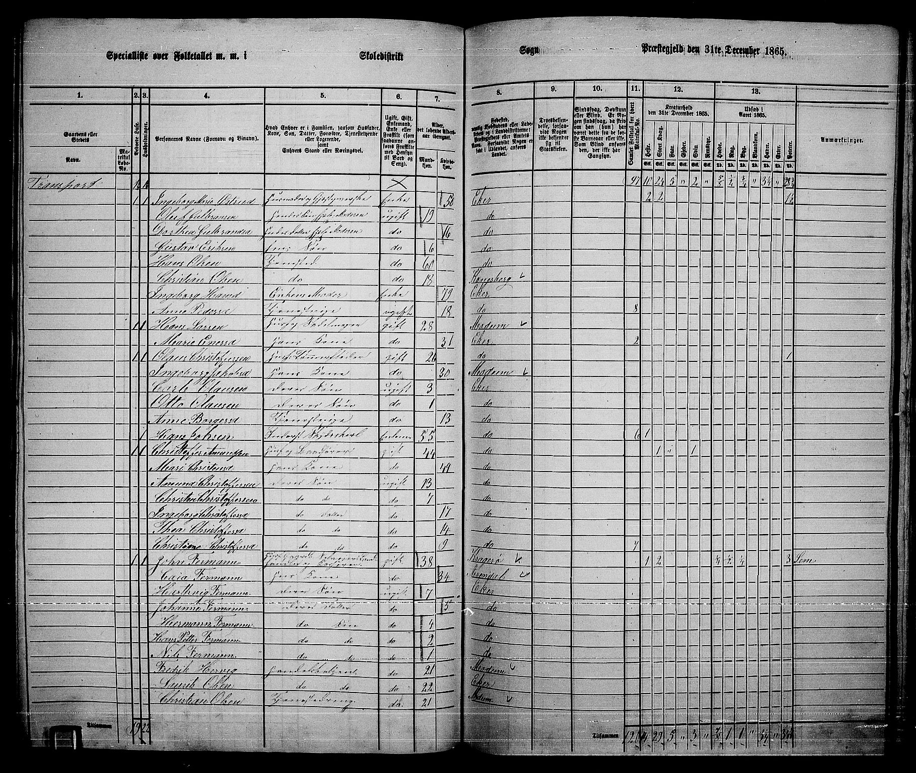 RA, 1865 census for Eiker, 1865, p. 215