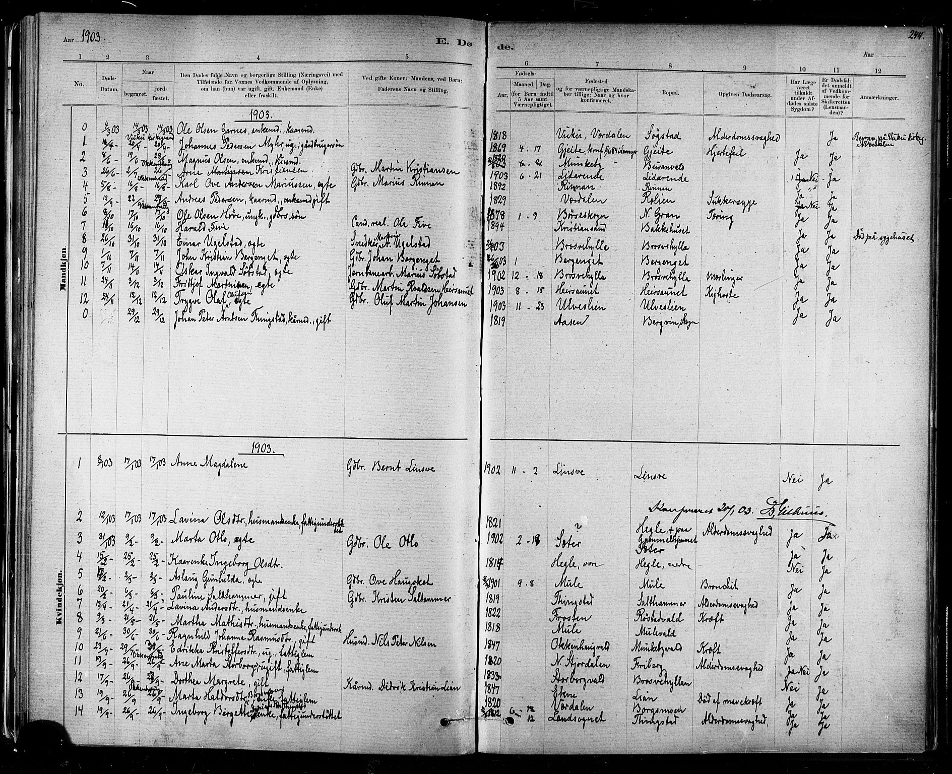 Ministerialprotokoller, klokkerbøker og fødselsregistre - Nord-Trøndelag, SAT/A-1458/721/L0208: Parish register (copy) no. 721C01, 1880-1917, p. 244