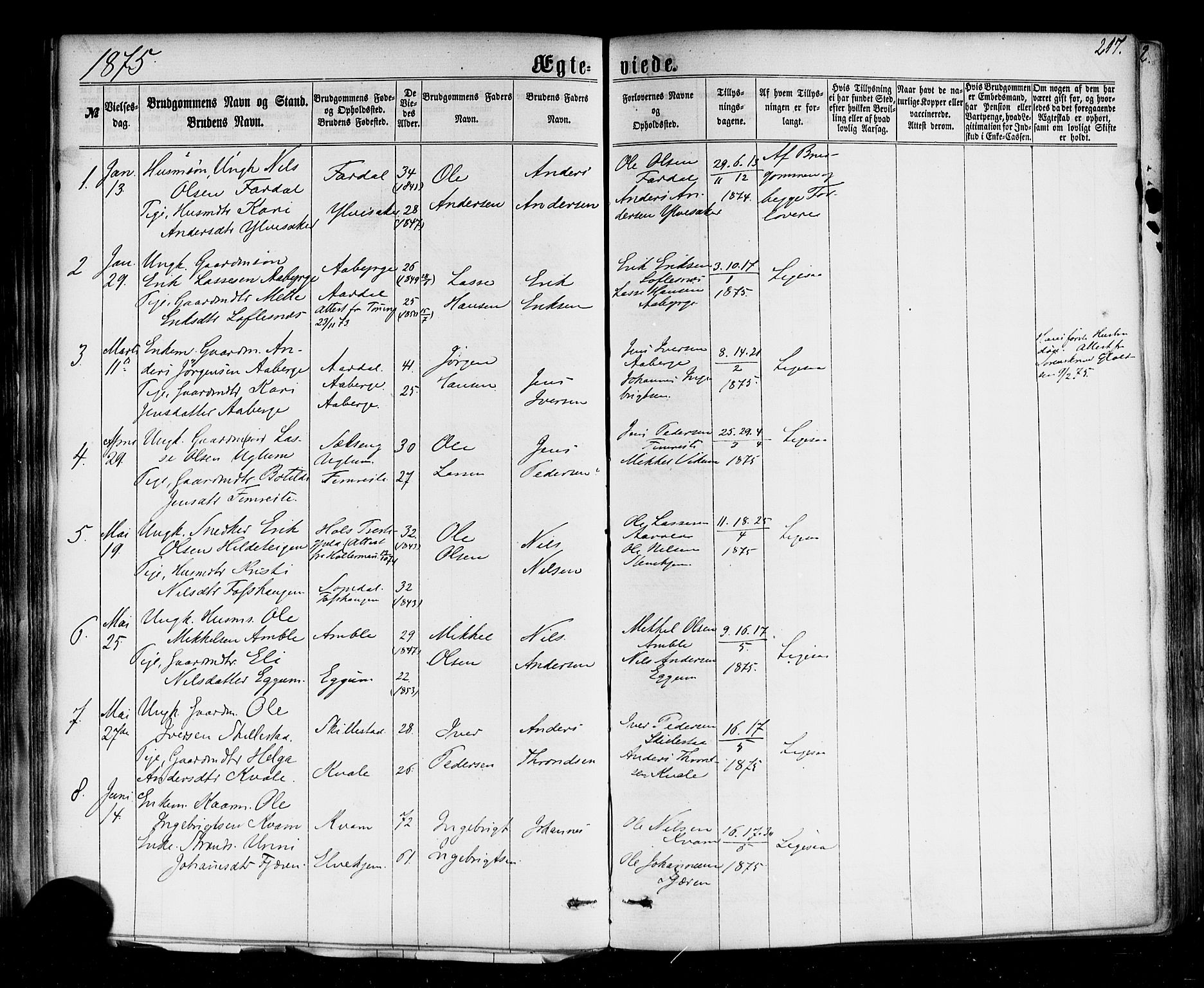 Sogndal sokneprestembete, SAB/A-81301/H/Haa/Haaa/L0013: Parish register (official) no. A 13, 1859-1877, p. 217