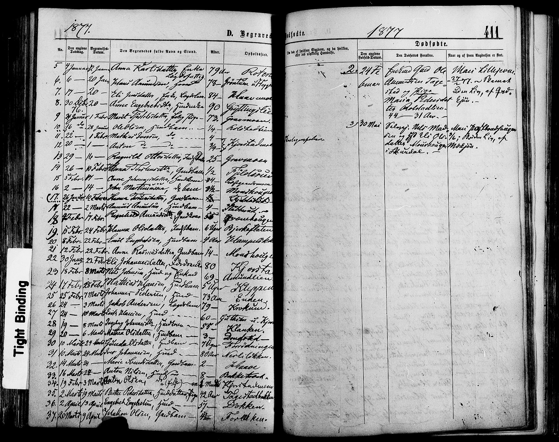 Sør-Fron prestekontor, SAH/PREST-010/H/Ha/Haa/L0002: Parish register (official) no. 2, 1864-1880, p. 411