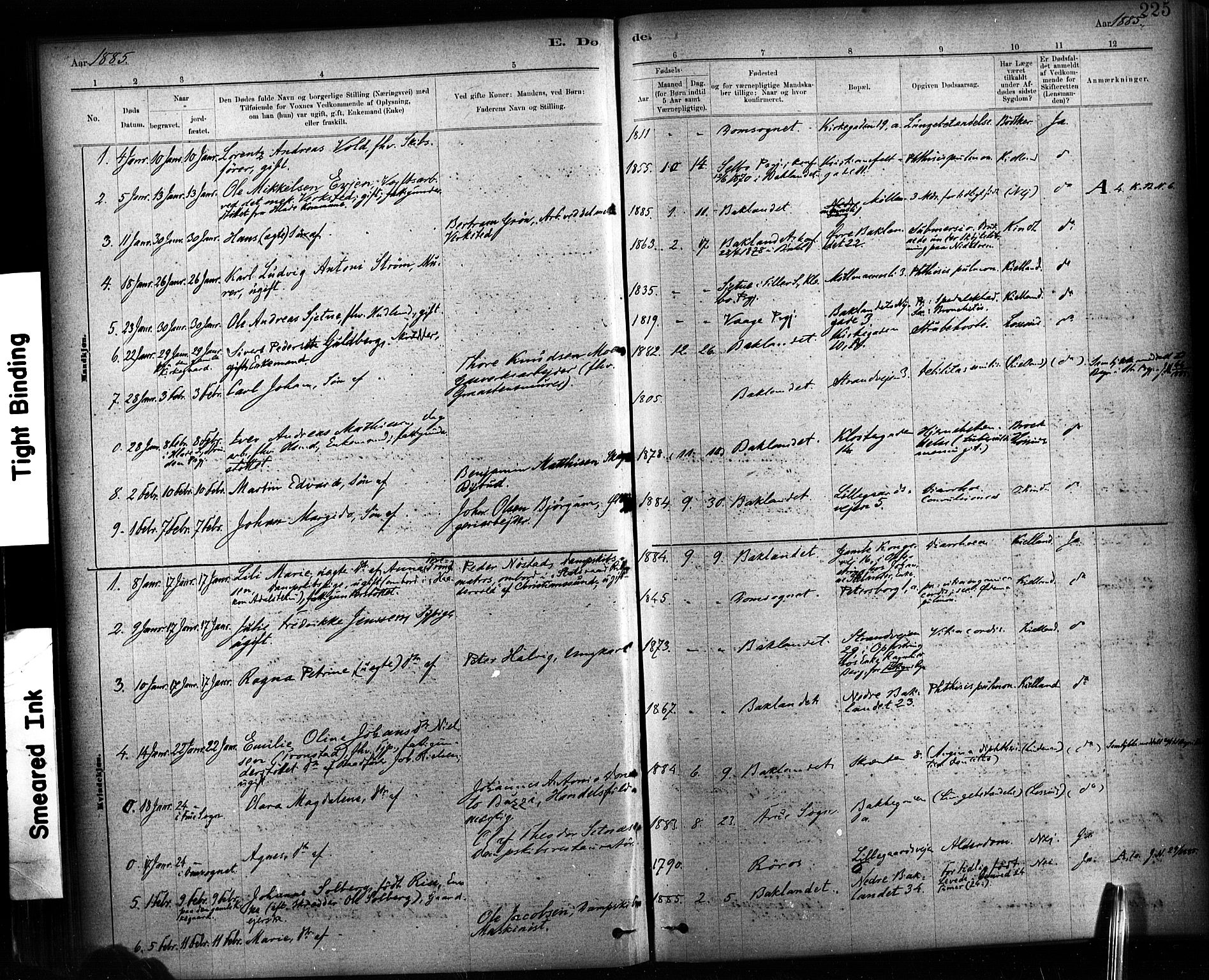 Ministerialprotokoller, klokkerbøker og fødselsregistre - Sør-Trøndelag, SAT/A-1456/604/L0189: Parish register (official) no. 604A10, 1878-1892, p. 225