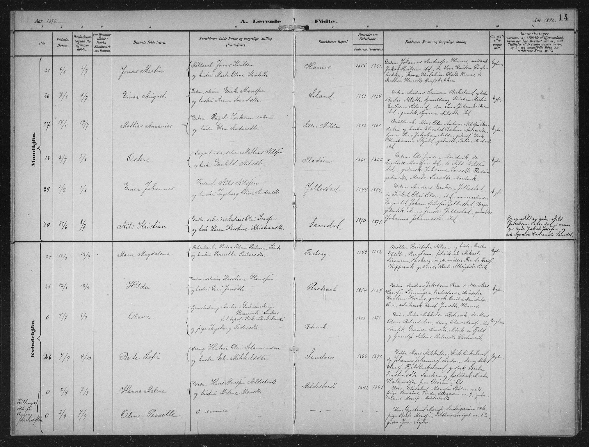 Fana Sokneprestembete, AV/SAB-A-75101/H/Hab/Haba/L0003: Parish register (copy) no. A 3, 1895-1902, p. 14