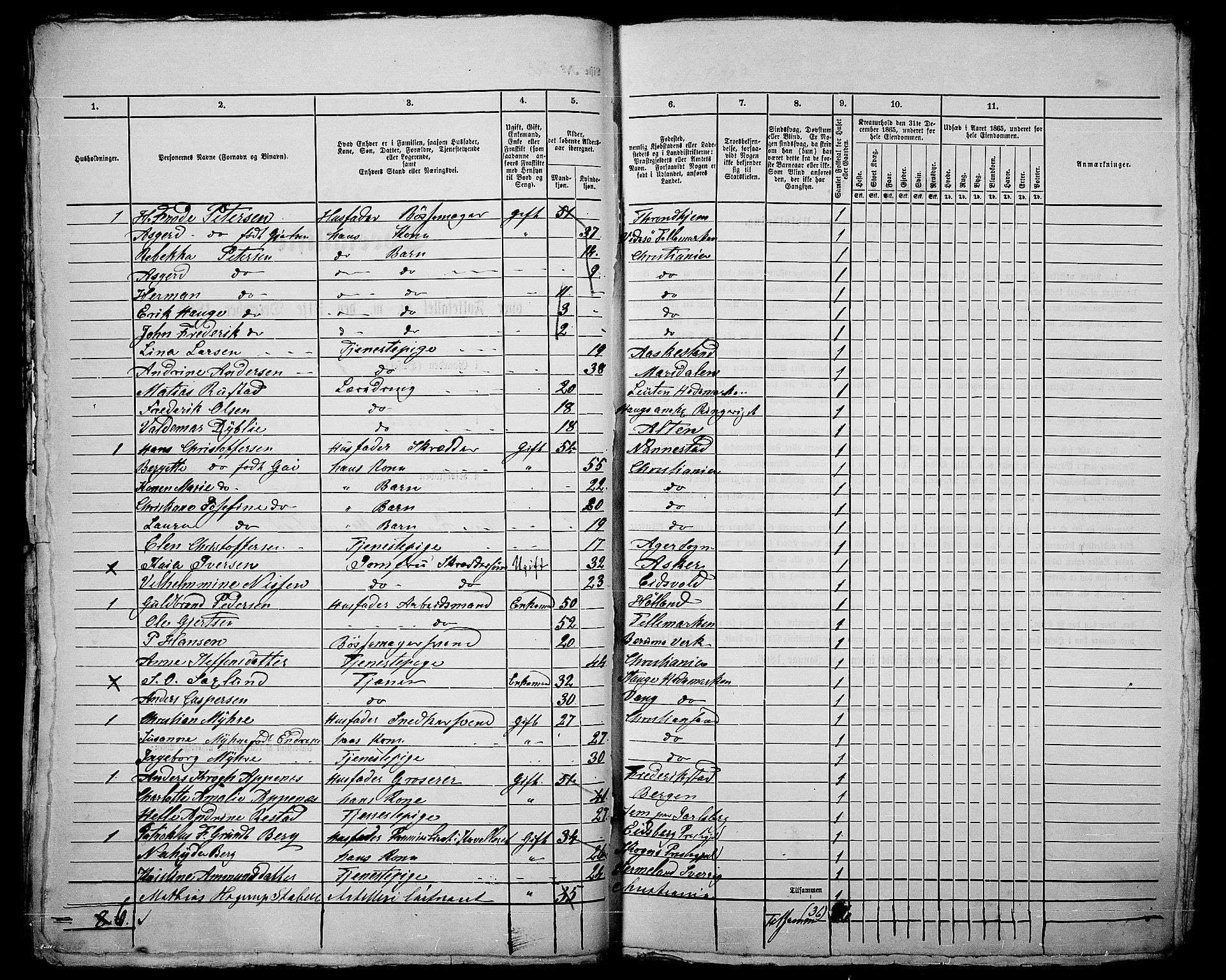 RA, 1865 census for Kristiania, 1865, p. 171