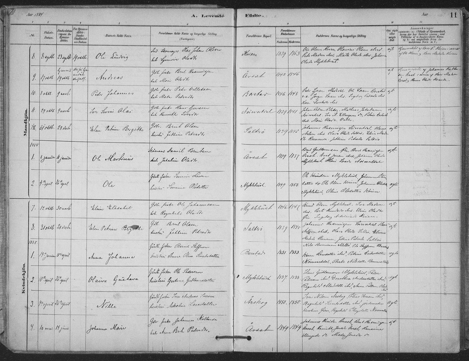 Ministerialprotokoller, klokkerbøker og fødselsregistre - Møre og Romsdal, AV/SAT-A-1454/514/L0199: Parish register (official) no. 514A01, 1878-1912, p. 11